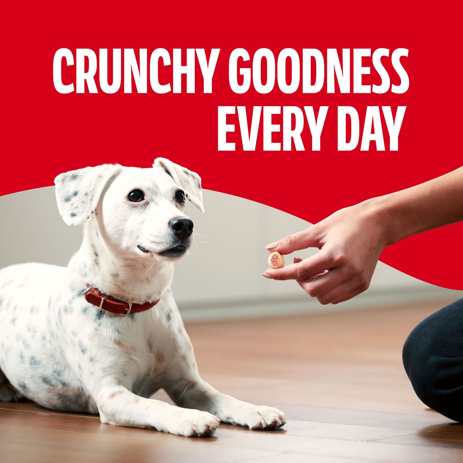 Milk-Bone Marosnacks Bone Marrow Crunchy Small Dog Treats, 40-Oz