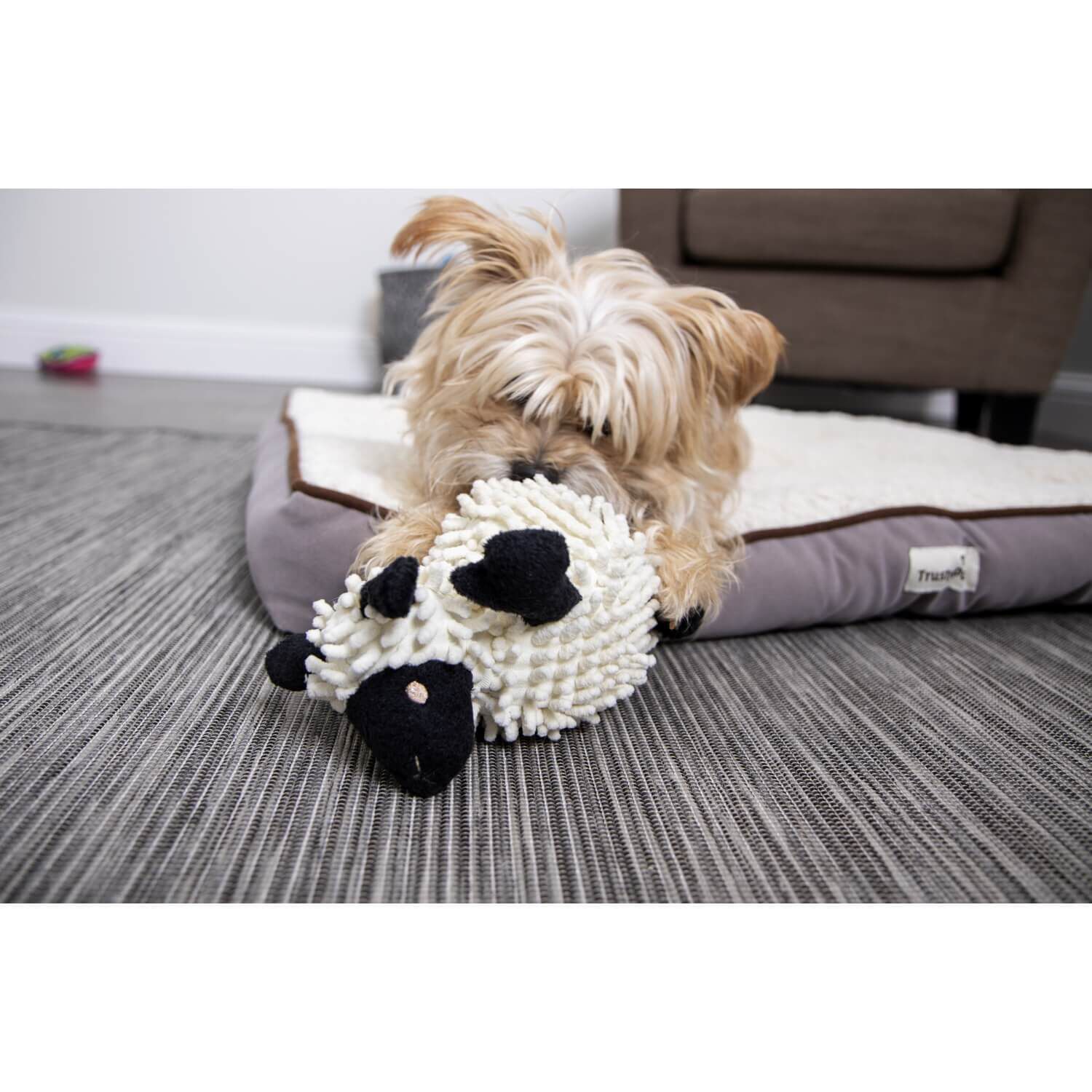 Godog Fuzzy Wuzzy Lamb Squeaky Plush Dog Toy