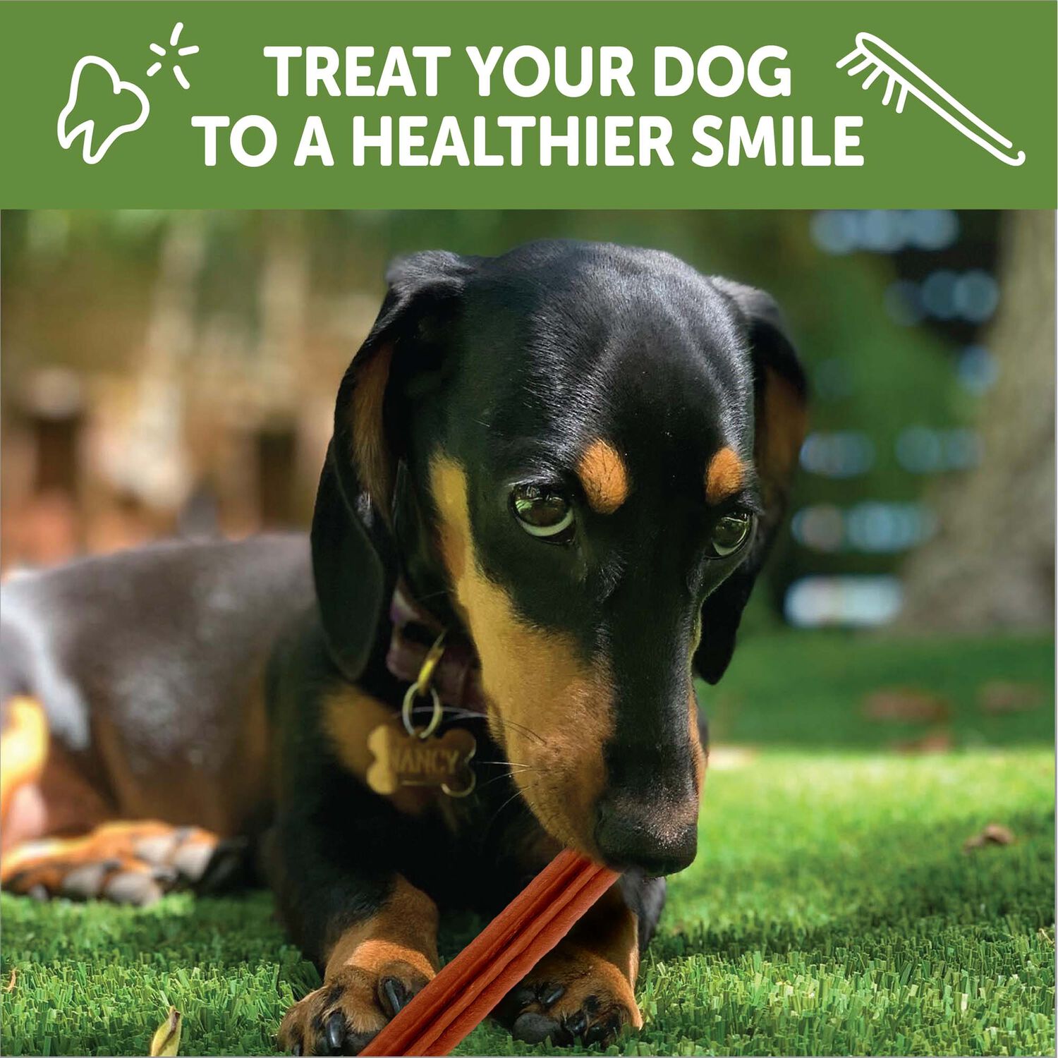 Whimzees Stix Natural Grain-Free Dental Dog Treats, Small, 1 Count
