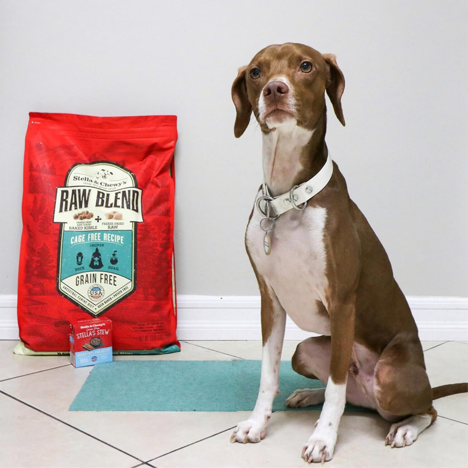Stella & Chewy's Raw Blend Grain Free Freeze Dried Raw Coated Baked Kibble Dry Dog Food, Cage Free Chicken, Quail, & Duck Recipe, 10-Lb Bag