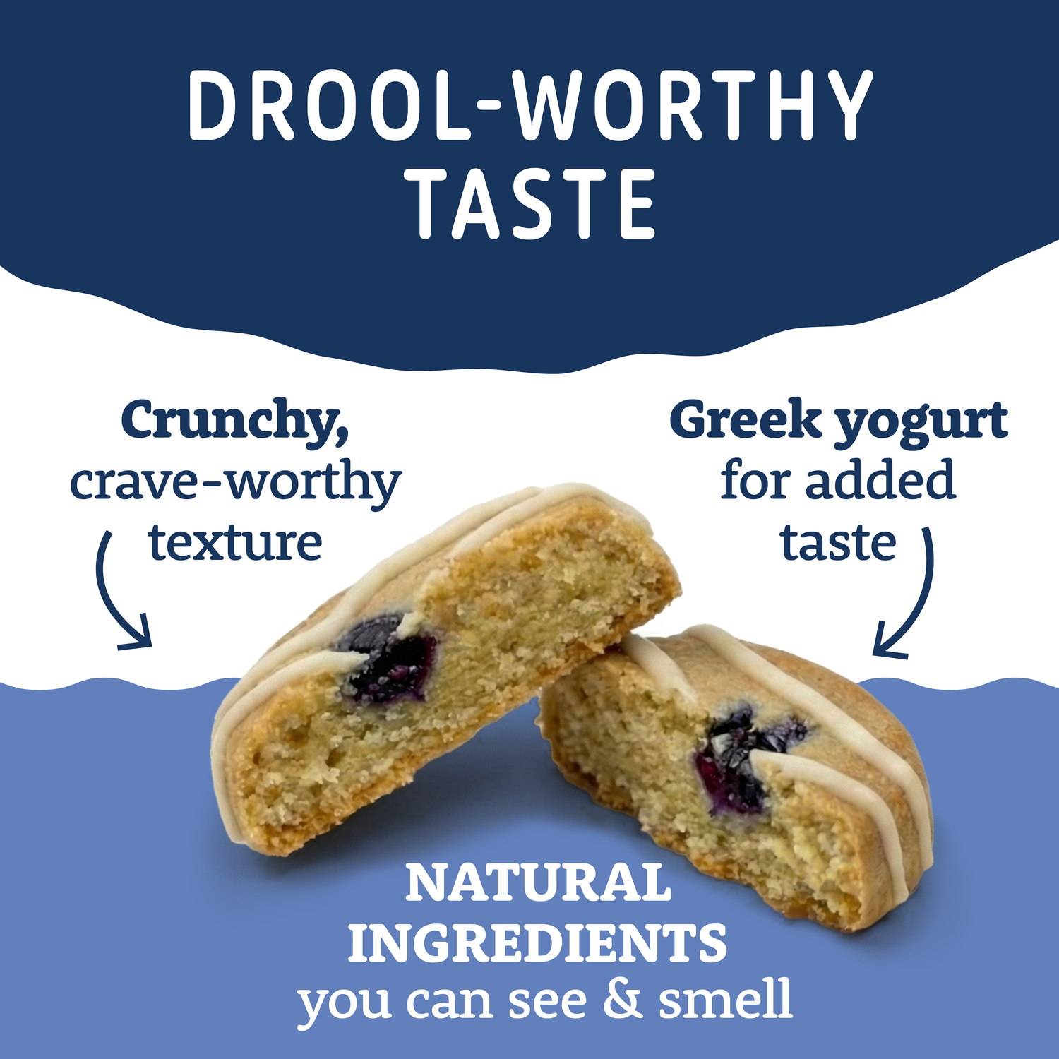 Natural Balance Yo-Gut Bites Biscuit Dog Treats, Oats & Blueberries With Greek Yogurt Drizzle, 10-Oz Bag