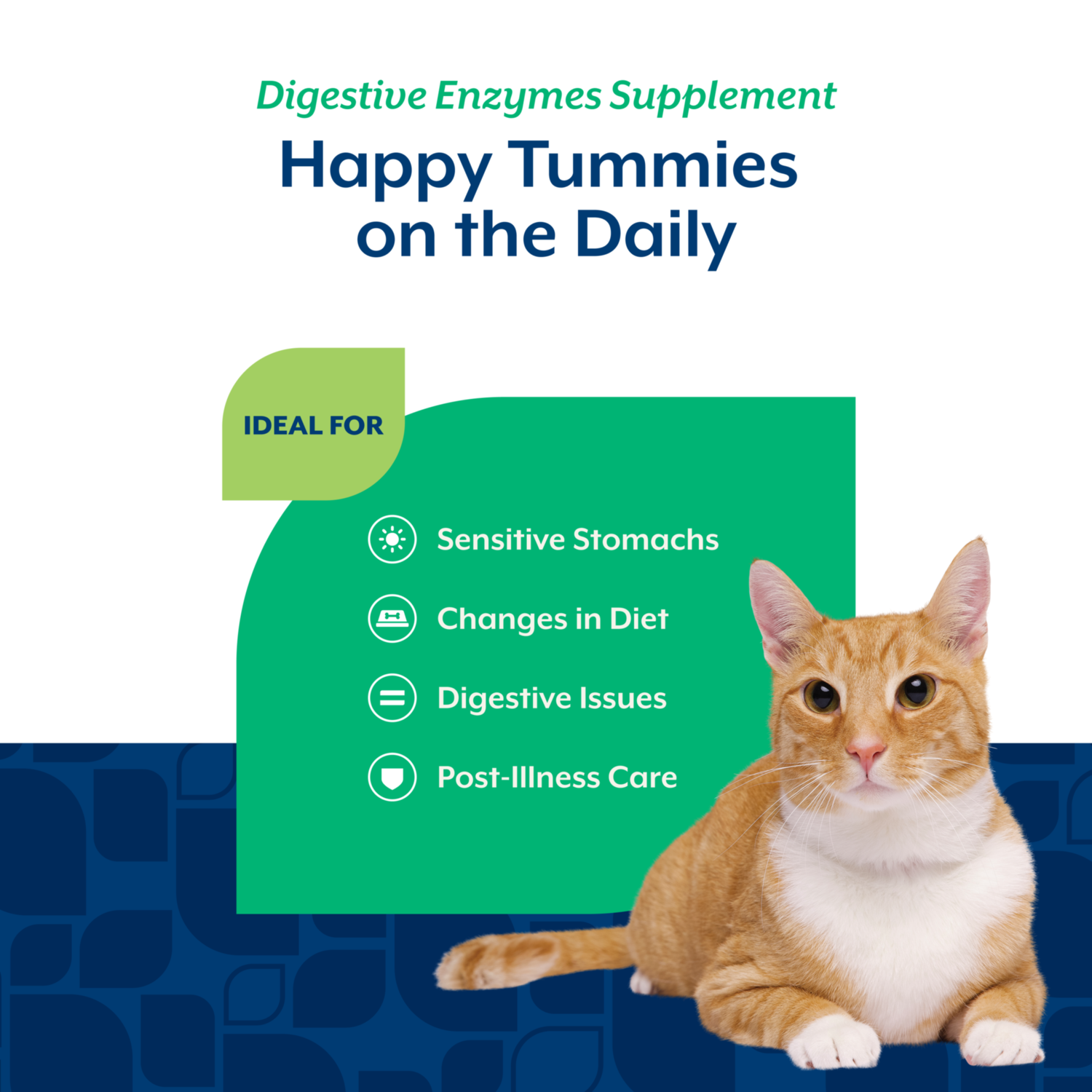 Naturvet Digestive Enzymes Pre+Probiotic Daily Soft Chew Supplement For Cats