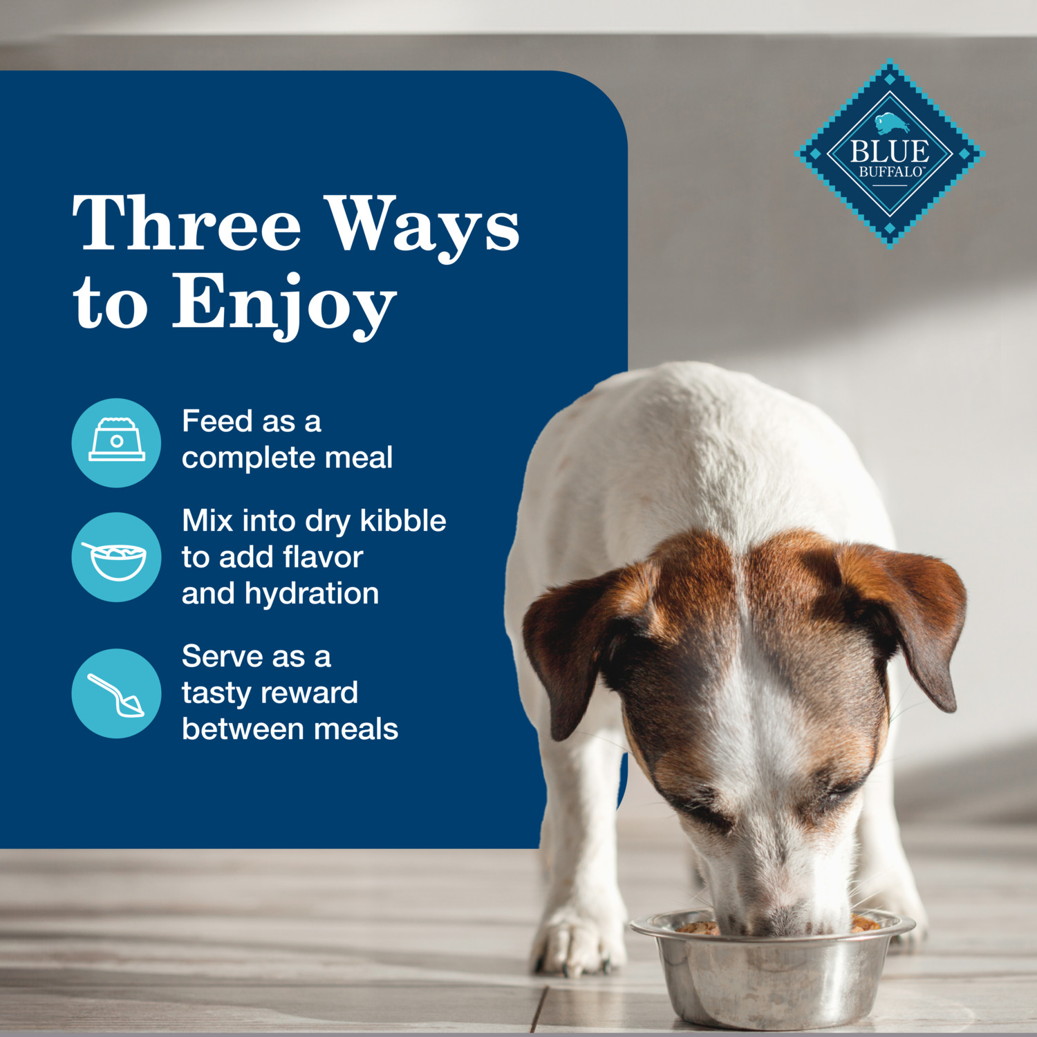 Blue Buffalo Homestyle Recipe Natural Senior Wet Dog Food, Beef & Chicken Dinner Variety Pack