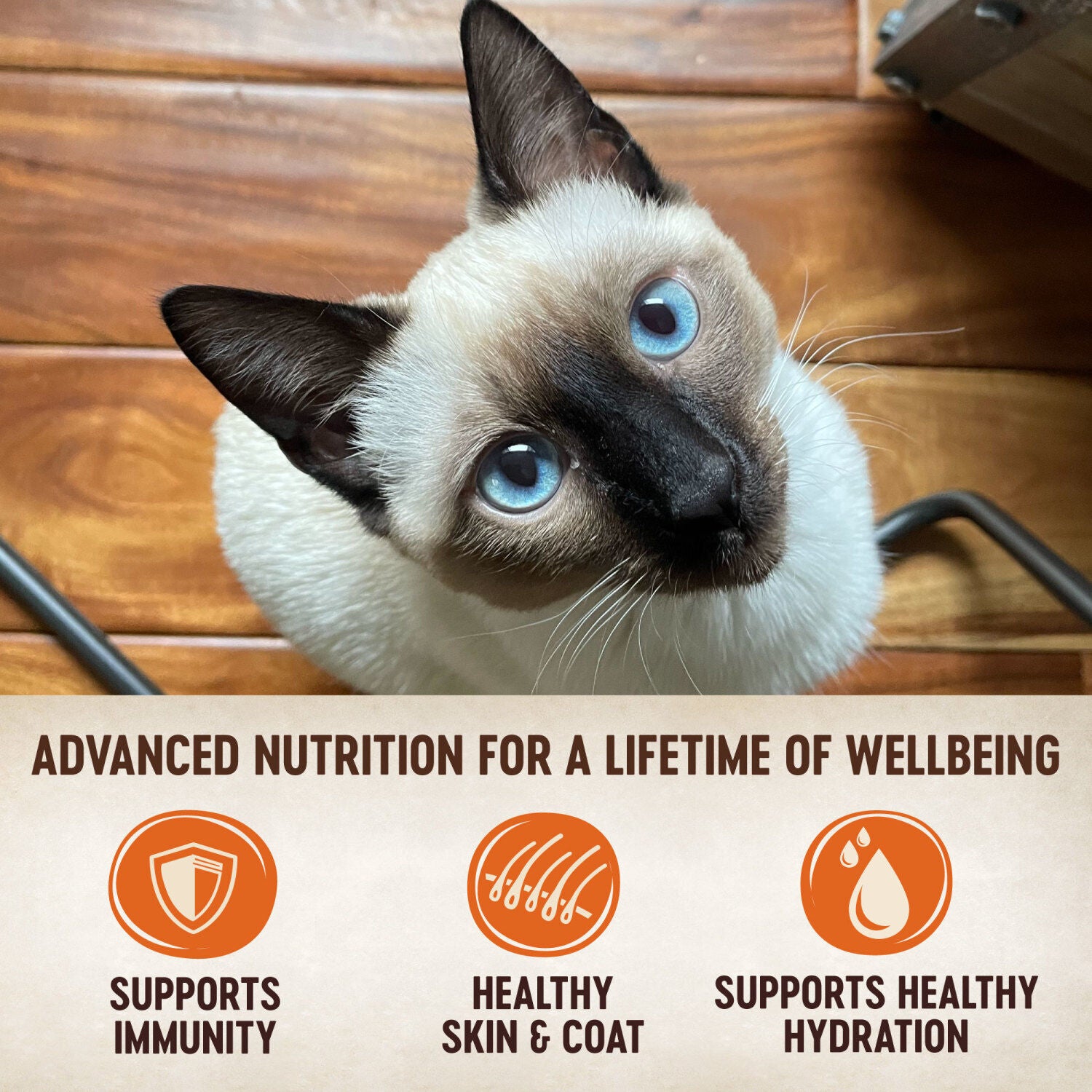 Wellness Core Tiny Tasters Pate Adult Wet Cat Food, Natural, Protein-Rich, Grain Free, 1.75 Ounce Pouch, 12 Pack - Chicken & Beef Recipe