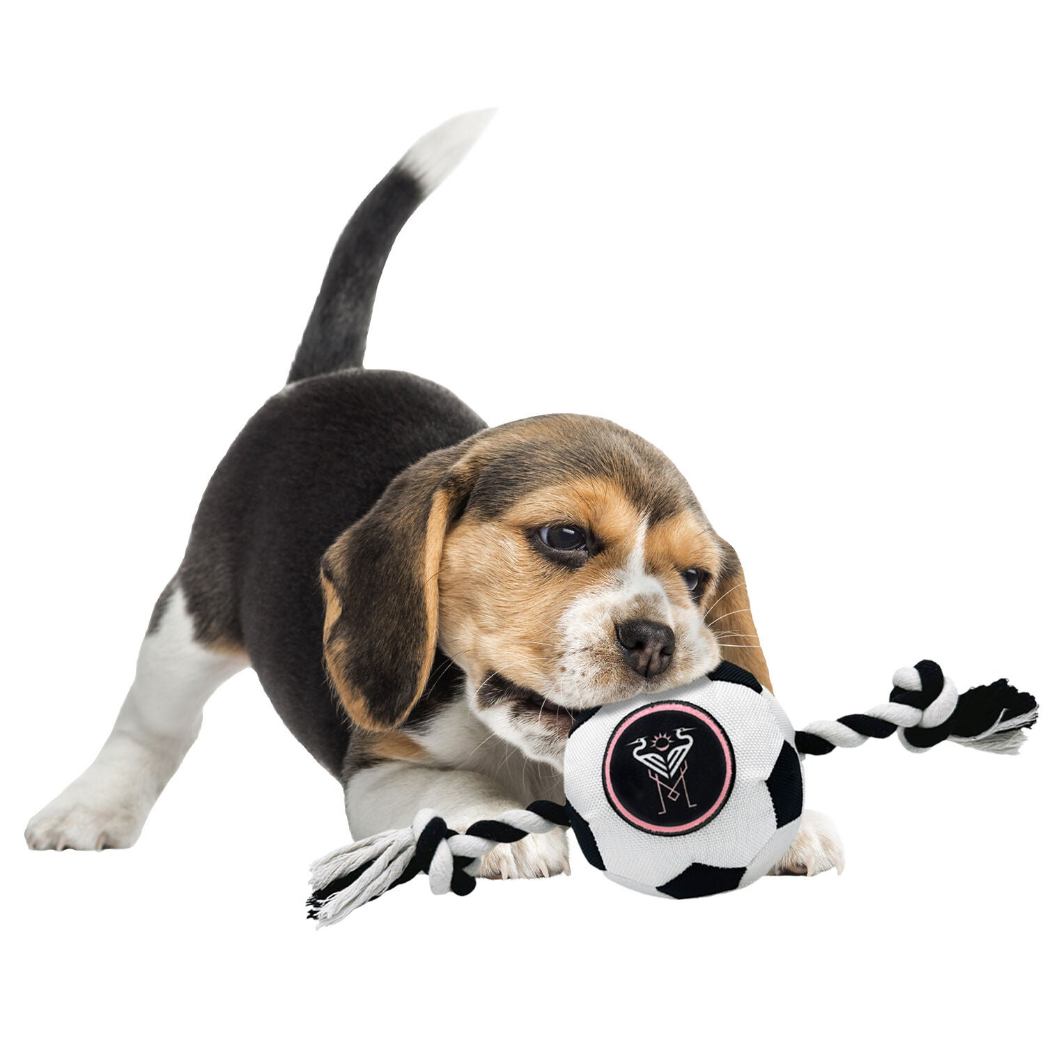 Pets First Inter Miami Soccer Ball Rope Tug Dog Toy