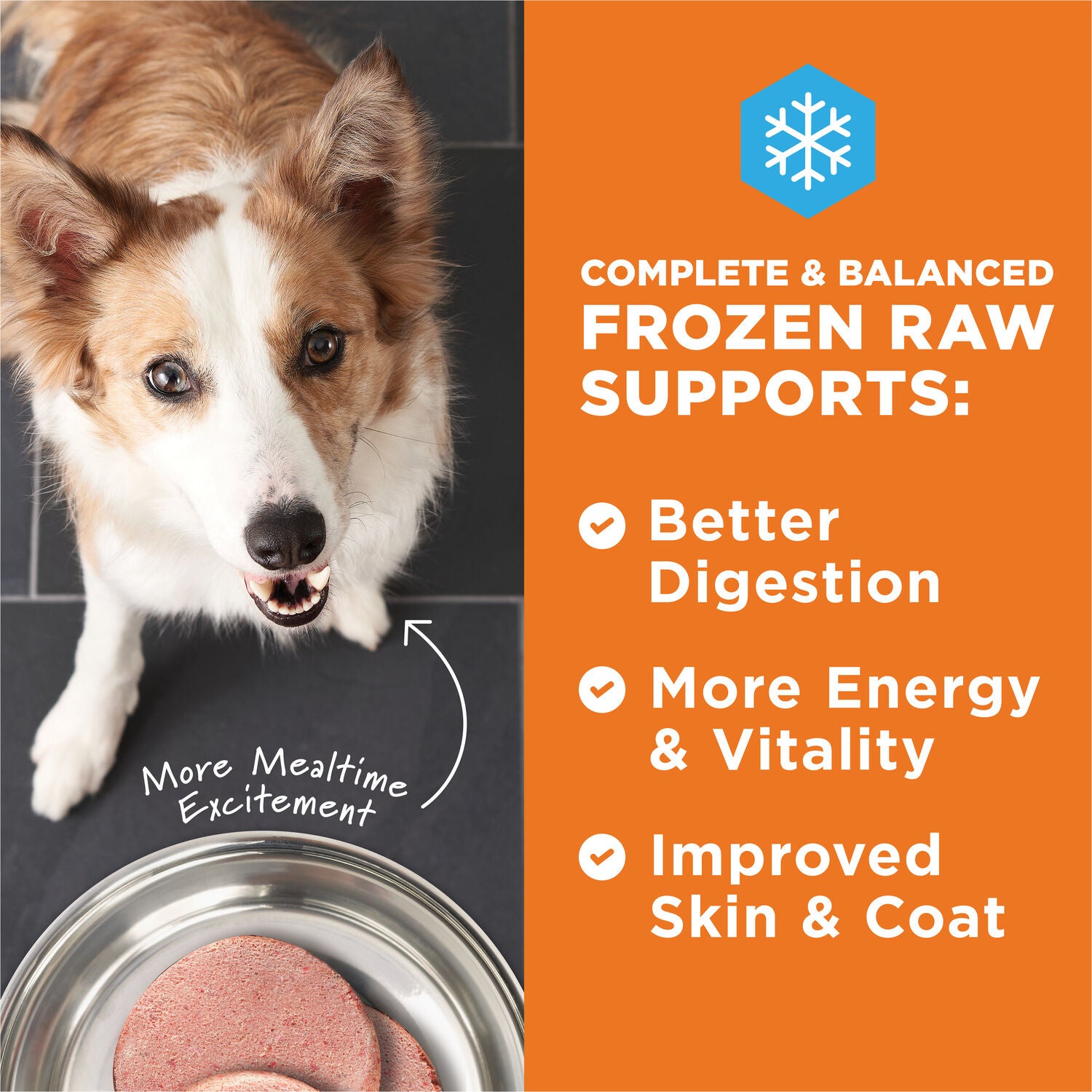 Instinct Raw Beef Patties Frozen Dog Food, 6-Lb