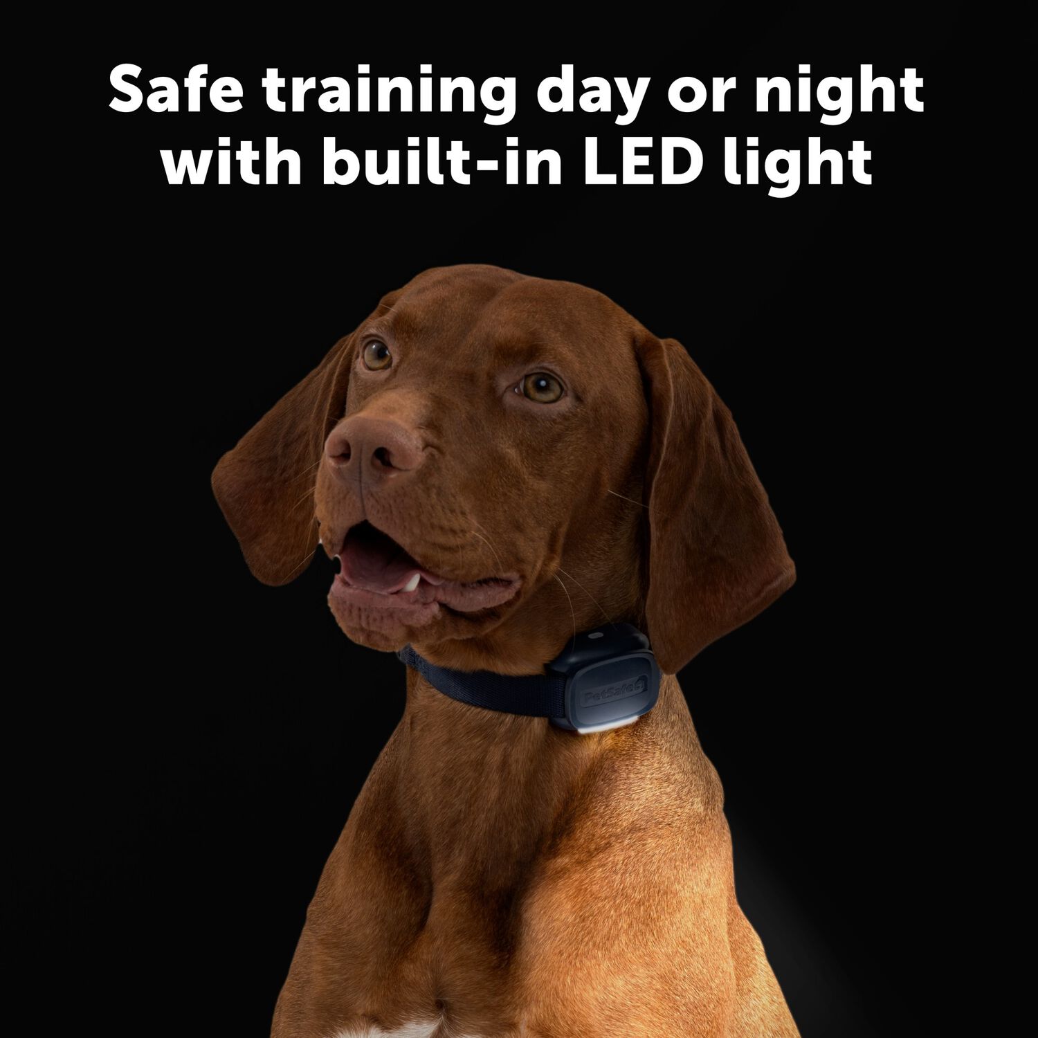 Petsafe Core Dog Trainer With Remote &ndash; Waterproof Dog Training Collar, 1000 Foot Range