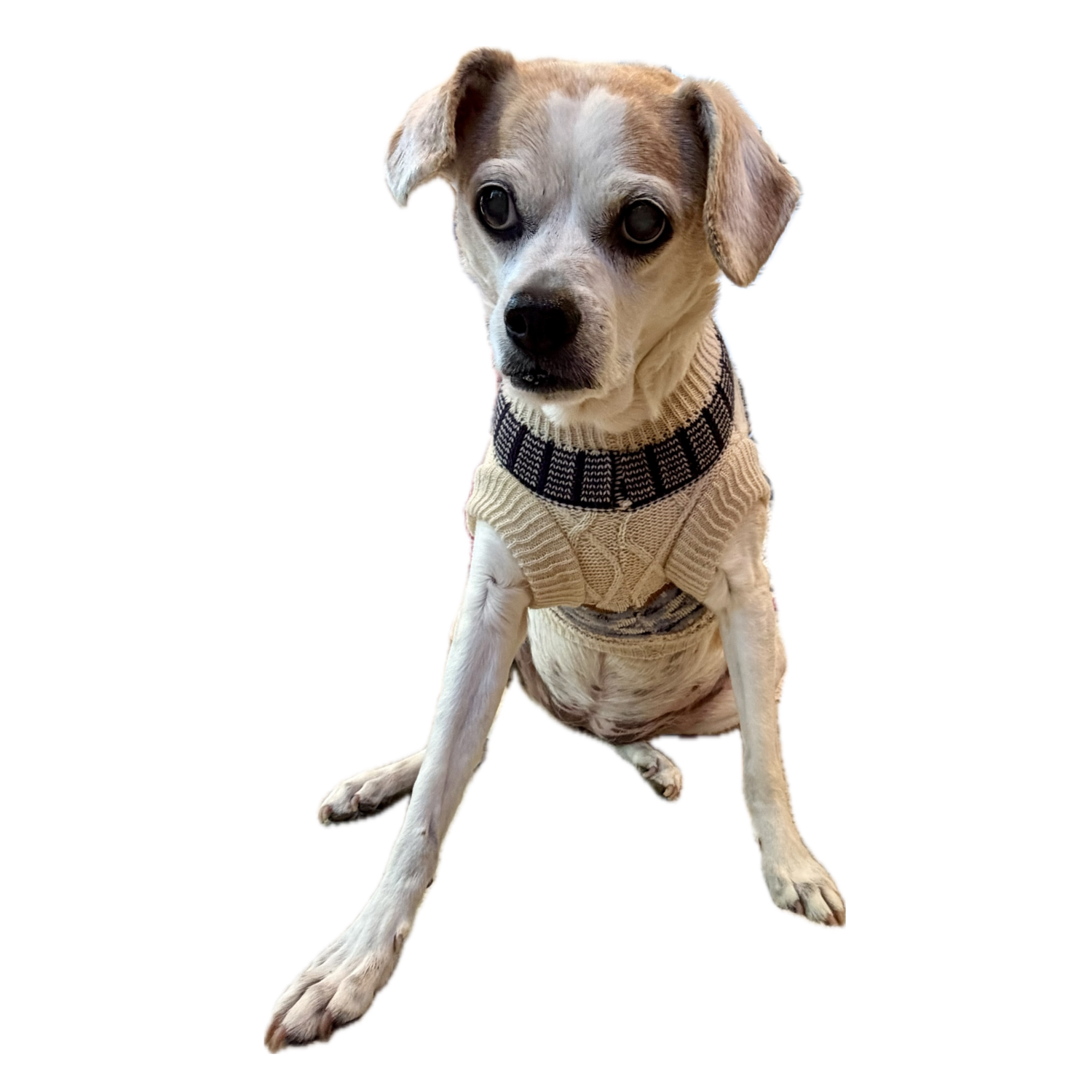 Aristopet Classic Fair Isle Knit Dog Sweater, Multi, Small