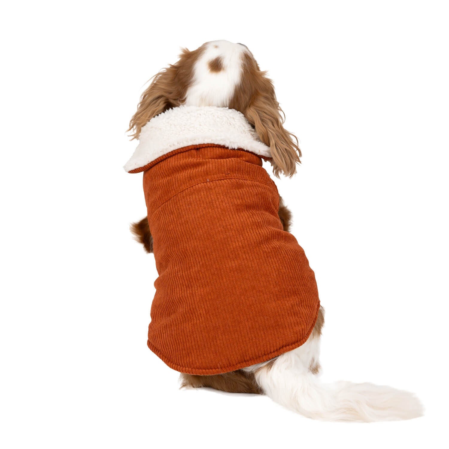 Brown Corduroy Dog Coat L 1L Pet Supermarket