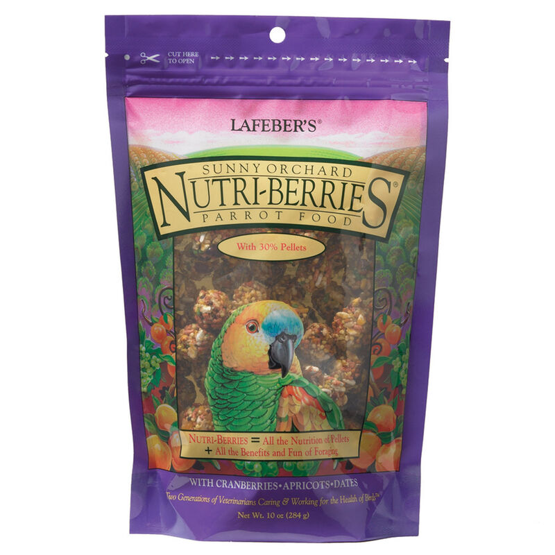 Orchard Nutri Berries For Parrots Bird Food image number 1