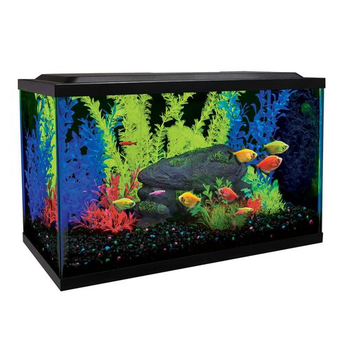 Glofish 10 Gallon Glass Aquarium Kit