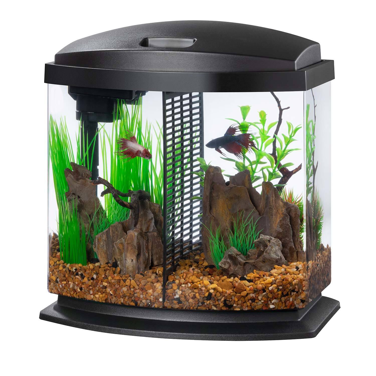 Aqueon Led Minibow Deskto Fish Aquarium Kit With Smartclean Technology