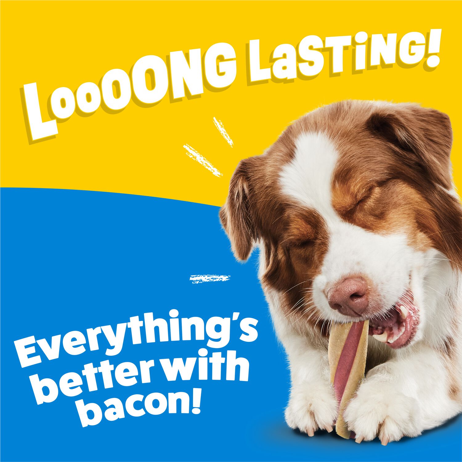 Purina Busy Bone Twist&rsquo;D With Beggin&rsquo; Large Bacon Flavor Chewy Dog Treats, 10 Count