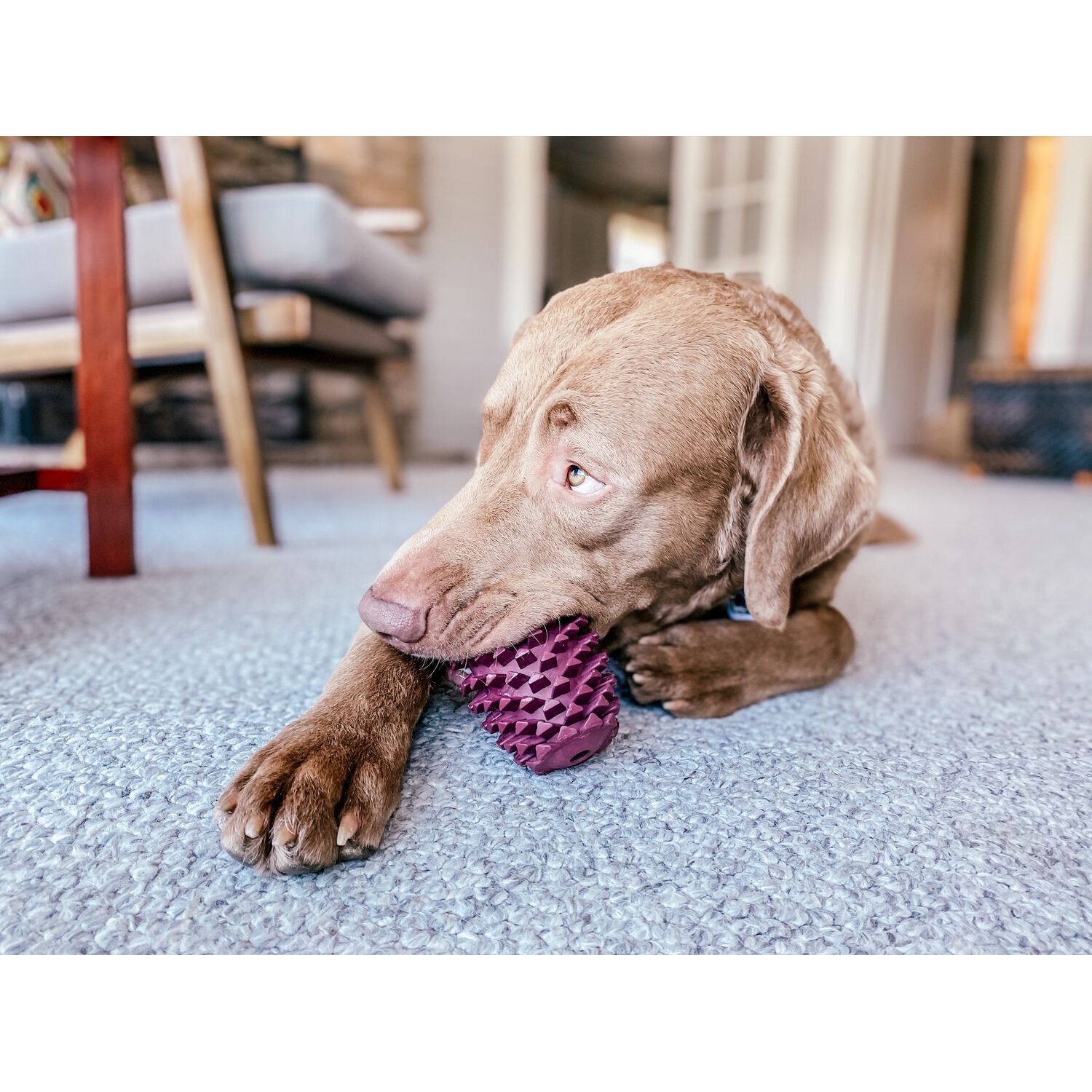 Tall Tails Rubber Pinecone Textured Treat Dispensing Dog Toy, 4"