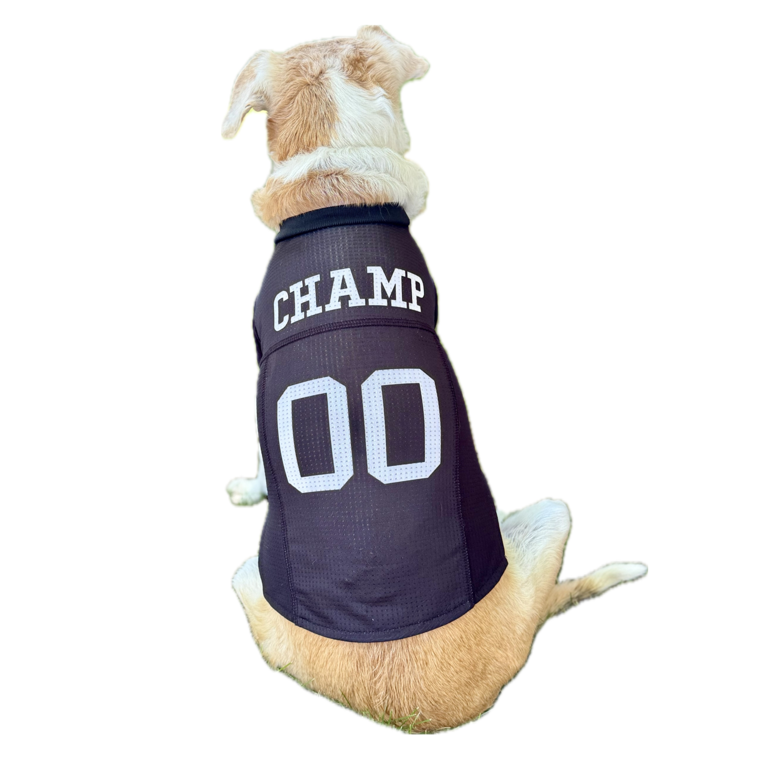 Aristopet Black Football Mesh Jersey Dog Shirt, Black, Large