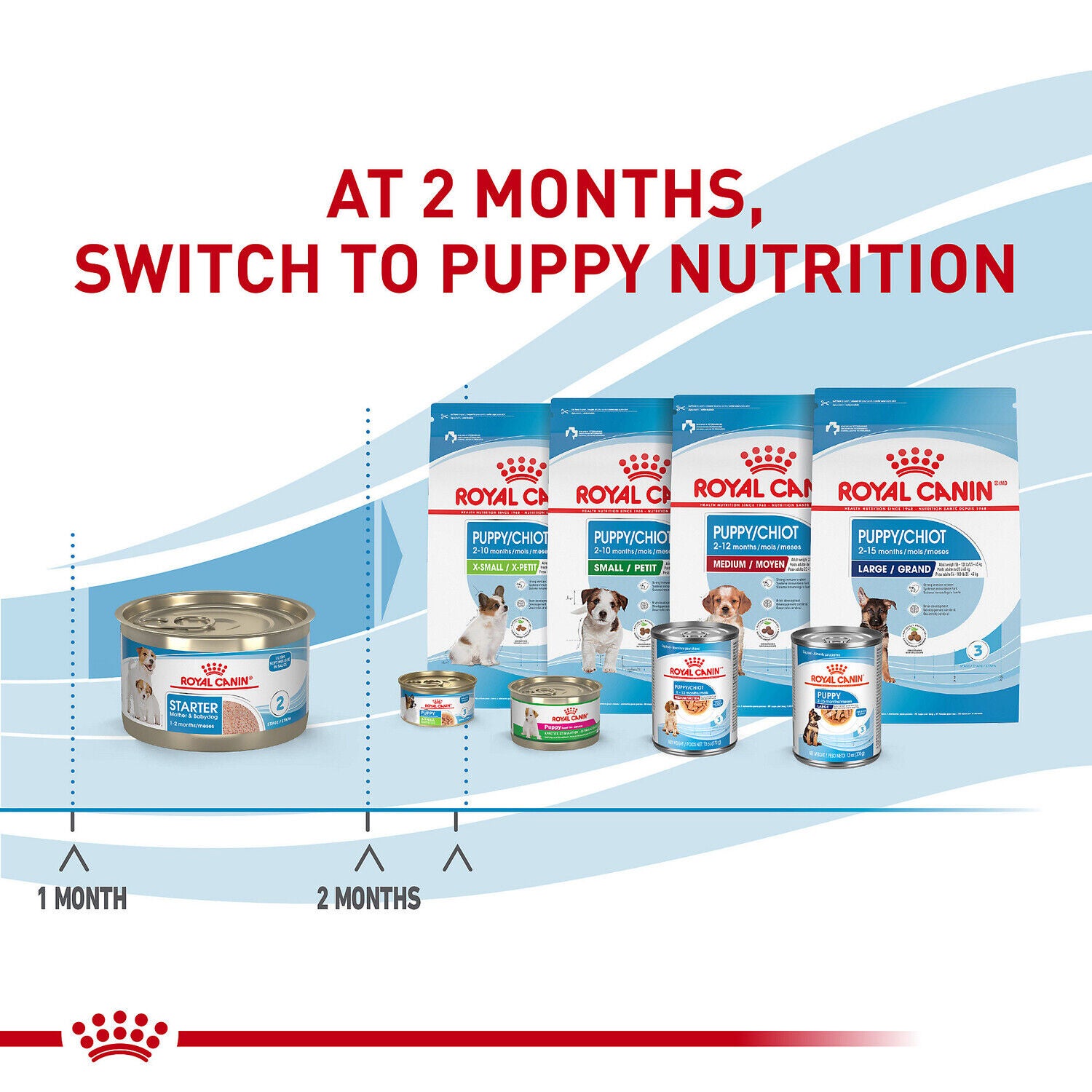 Royal Canin Size Health Nutrition Starter Mother & Babydog Mousse In Sauce Canned Dog Food, 5.1 Oz - 24 Pack