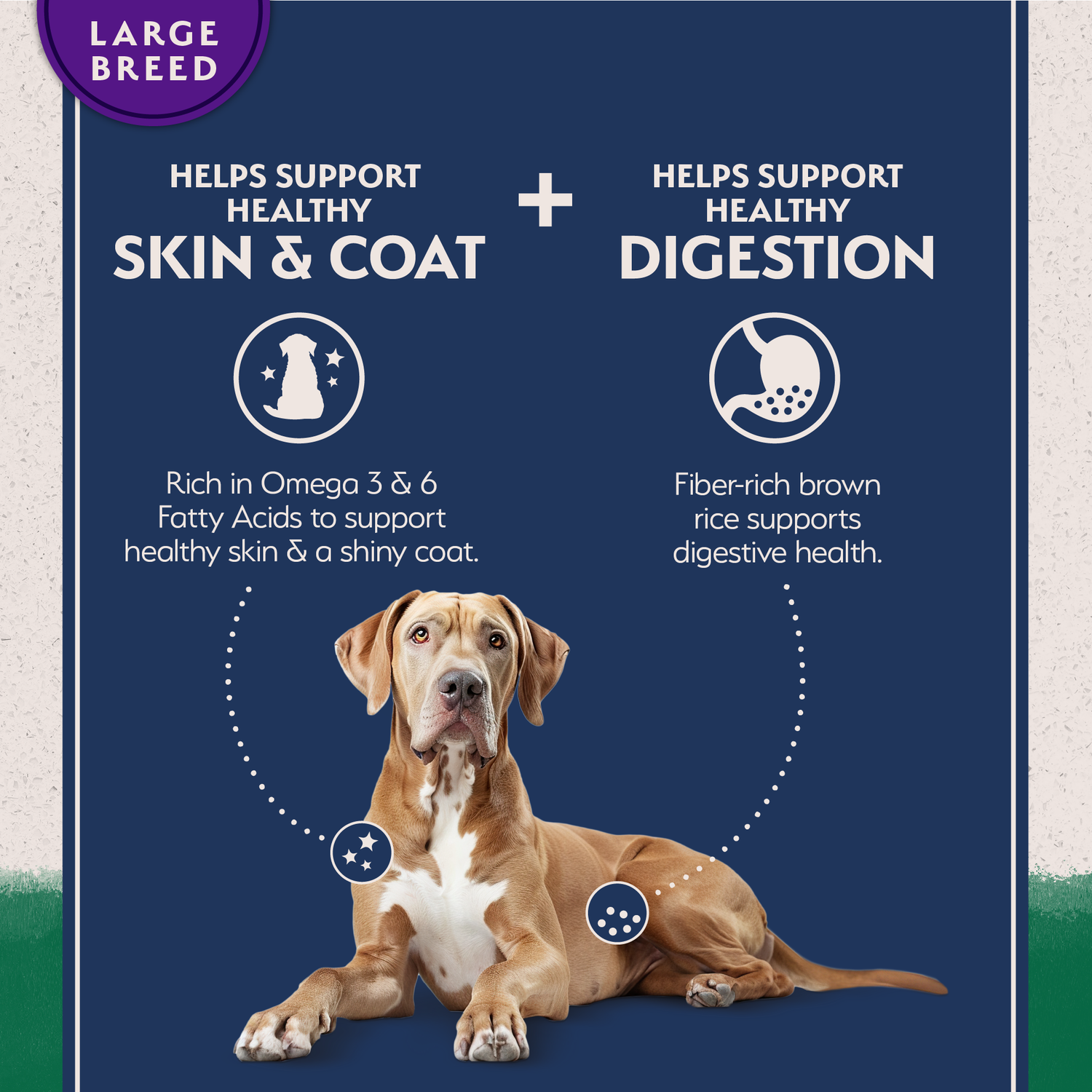 Natural Balance Limited Ingredient Lamb & Brown Rice Large Breed Recipe Dry Dog Food, 26-Lb