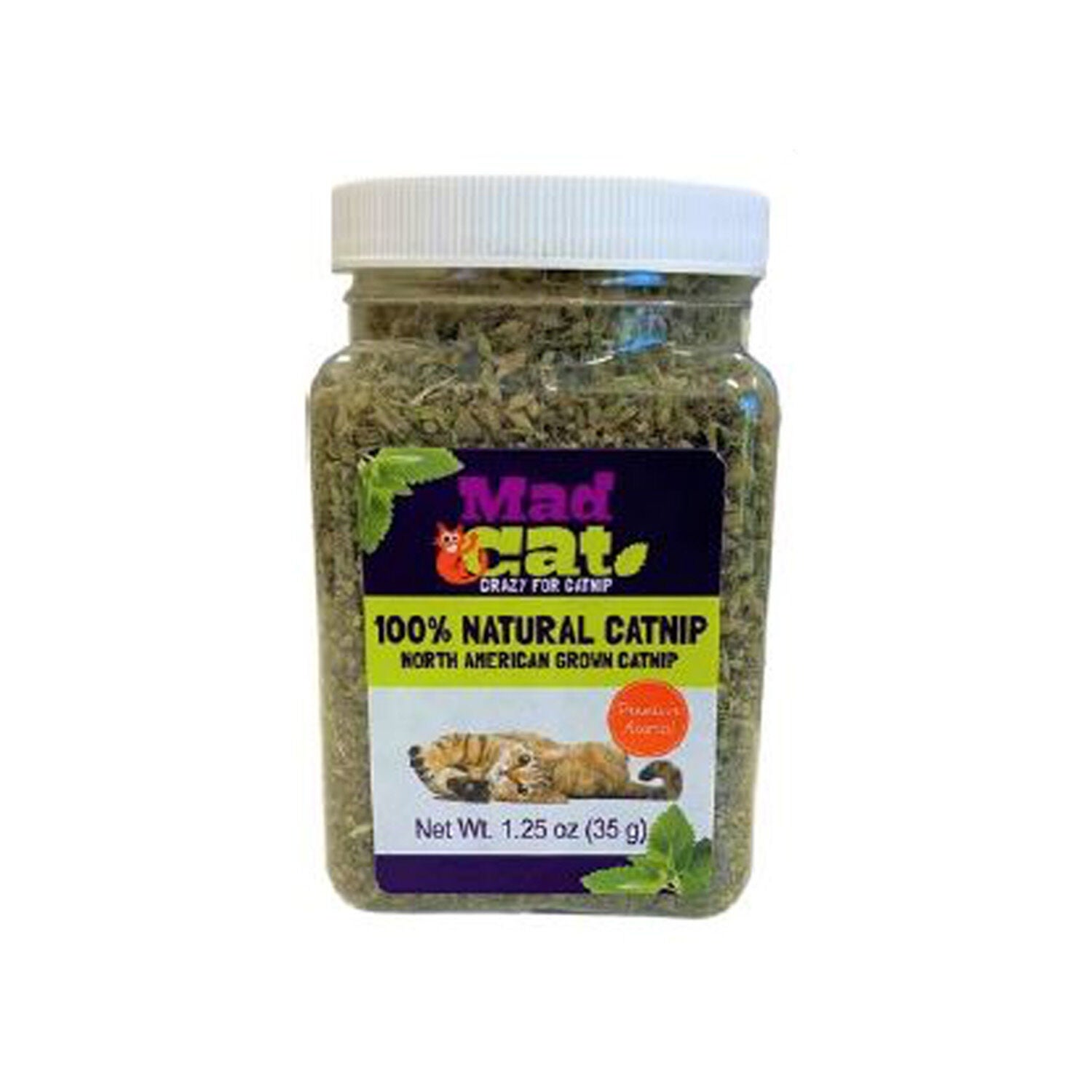 Catnip Jar 1EA Pet Supermarket
