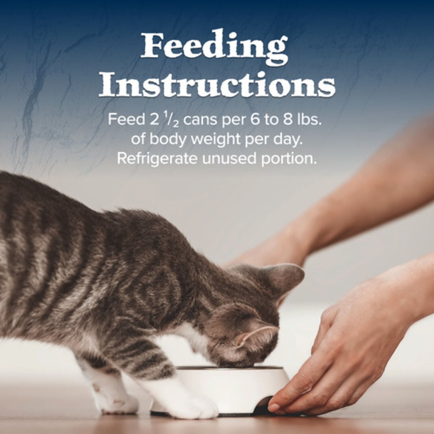 Blue Buffalo Wilderness Wild Delights Adult Wet Cat Food, Chicken & Trout Meaty Morsels, 3-Oz