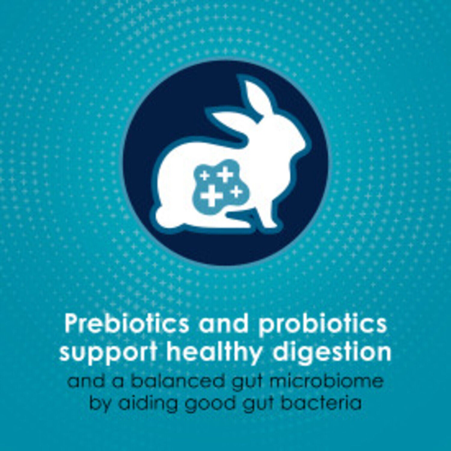 Kaytee Forti-Diet Pro Health Nourish + Protect Adult Rabbit Food, 20-Lb