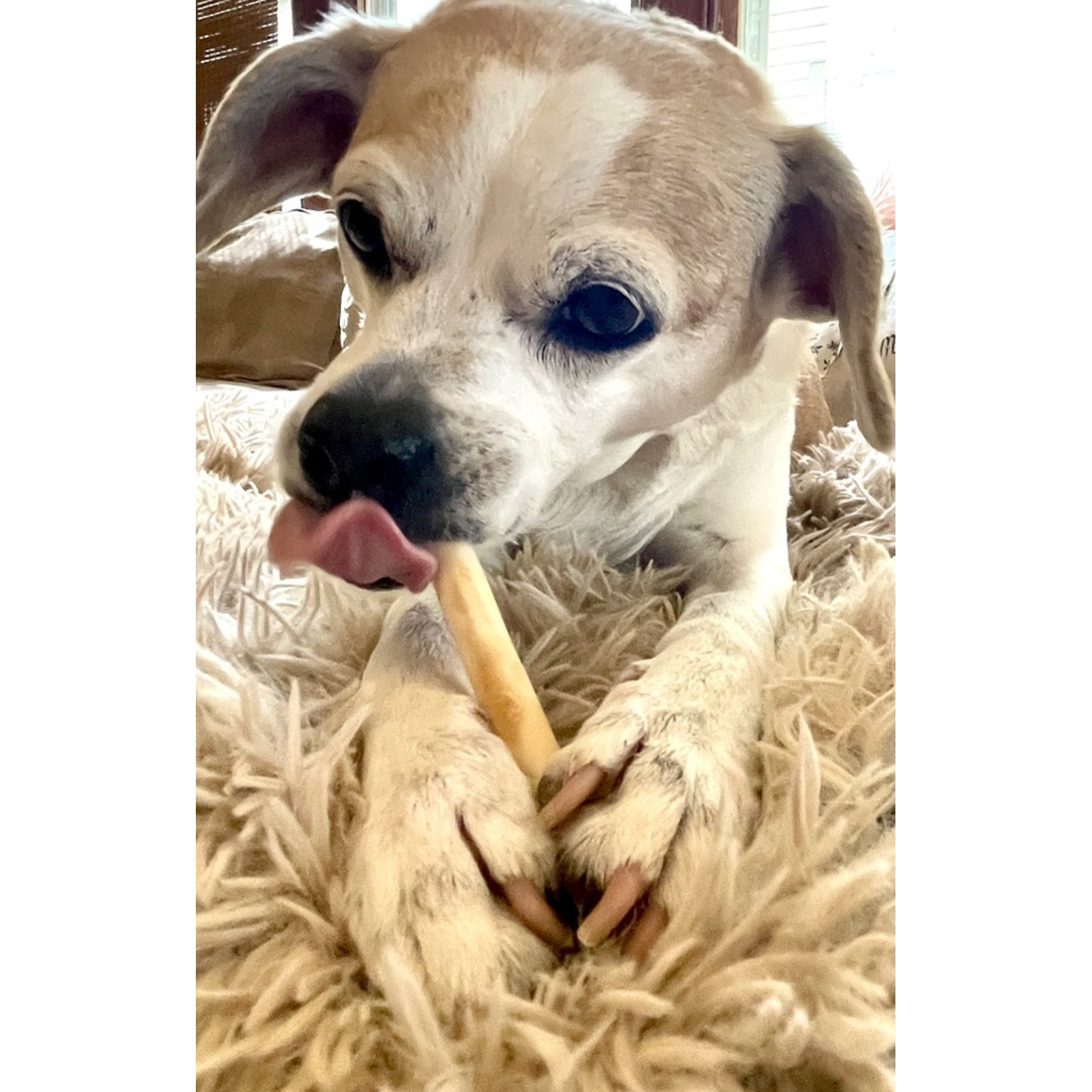 Performatrin Ultra Hide-Free Sticks Chicken Recipe Dog Treats, 10 Pack