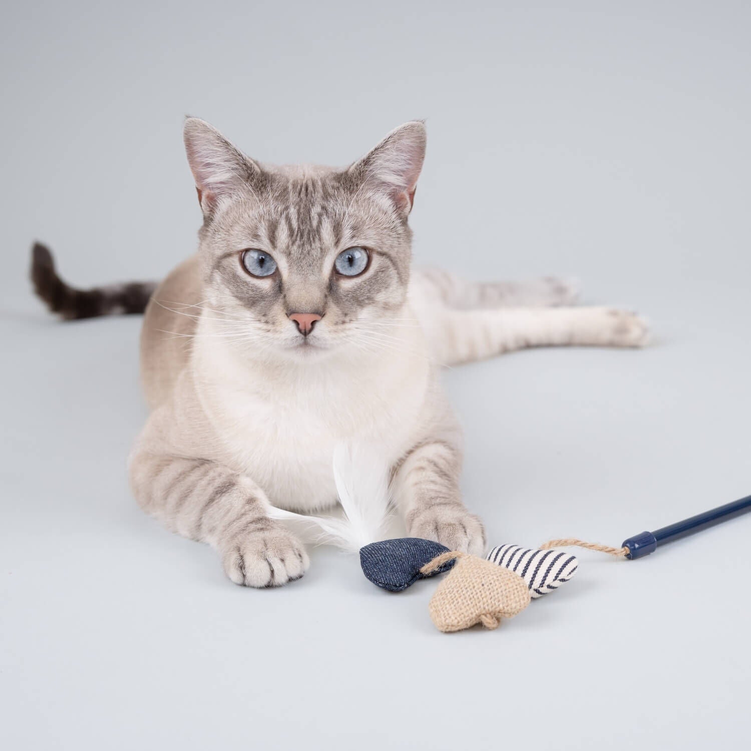 Gap Denim Hearts Teaser With Wand Cat Toy