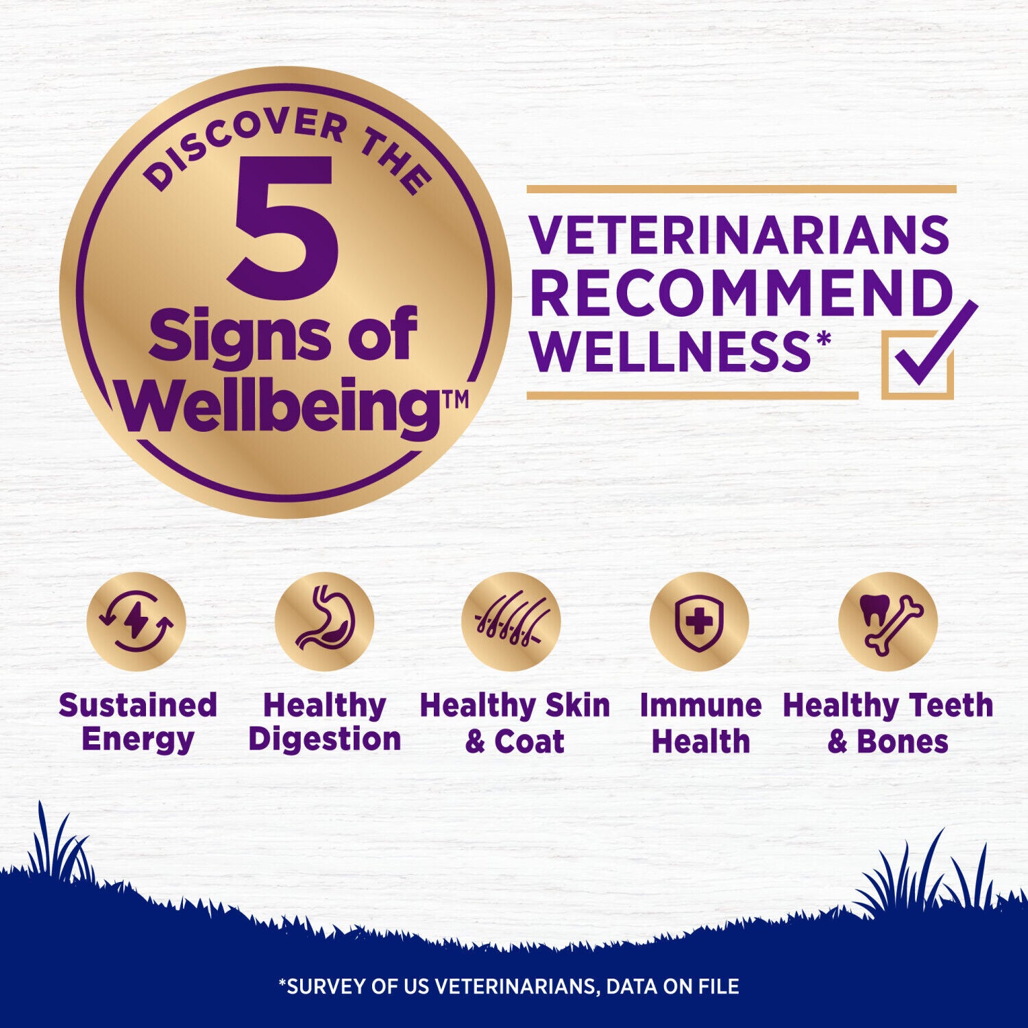 Wellness Complete Health Dry Dog Food, Large Breed, Wholesome Grains, Natural, Chicken & Brown Rice Recipe, 30-Pound Bag
