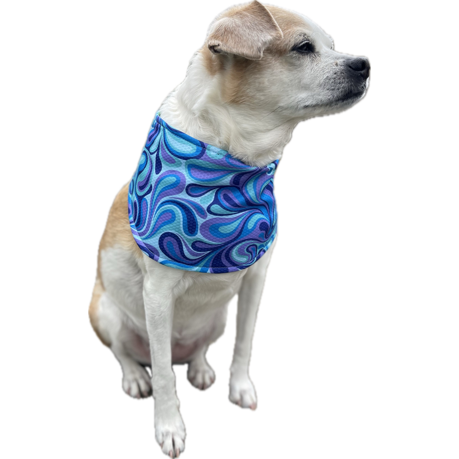 Unique Petz Cooling Dog Bandana - Paisley Print, Xs/Small