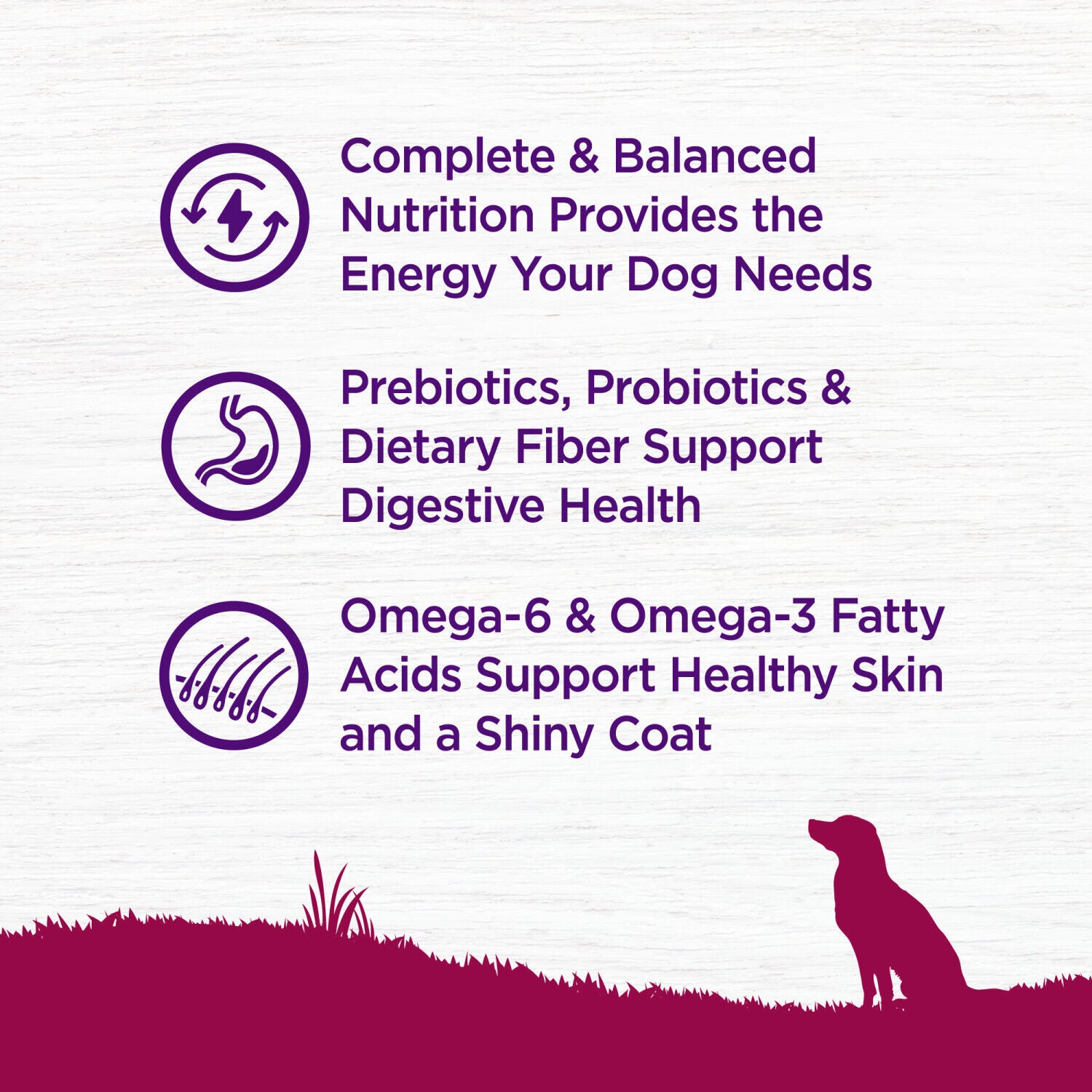 Wellness Complete Health Dry Dog Food, Small Breed, Wholesome Grains, Natural, Turkey & Oatmeal Recipe, 4-Pound Bag