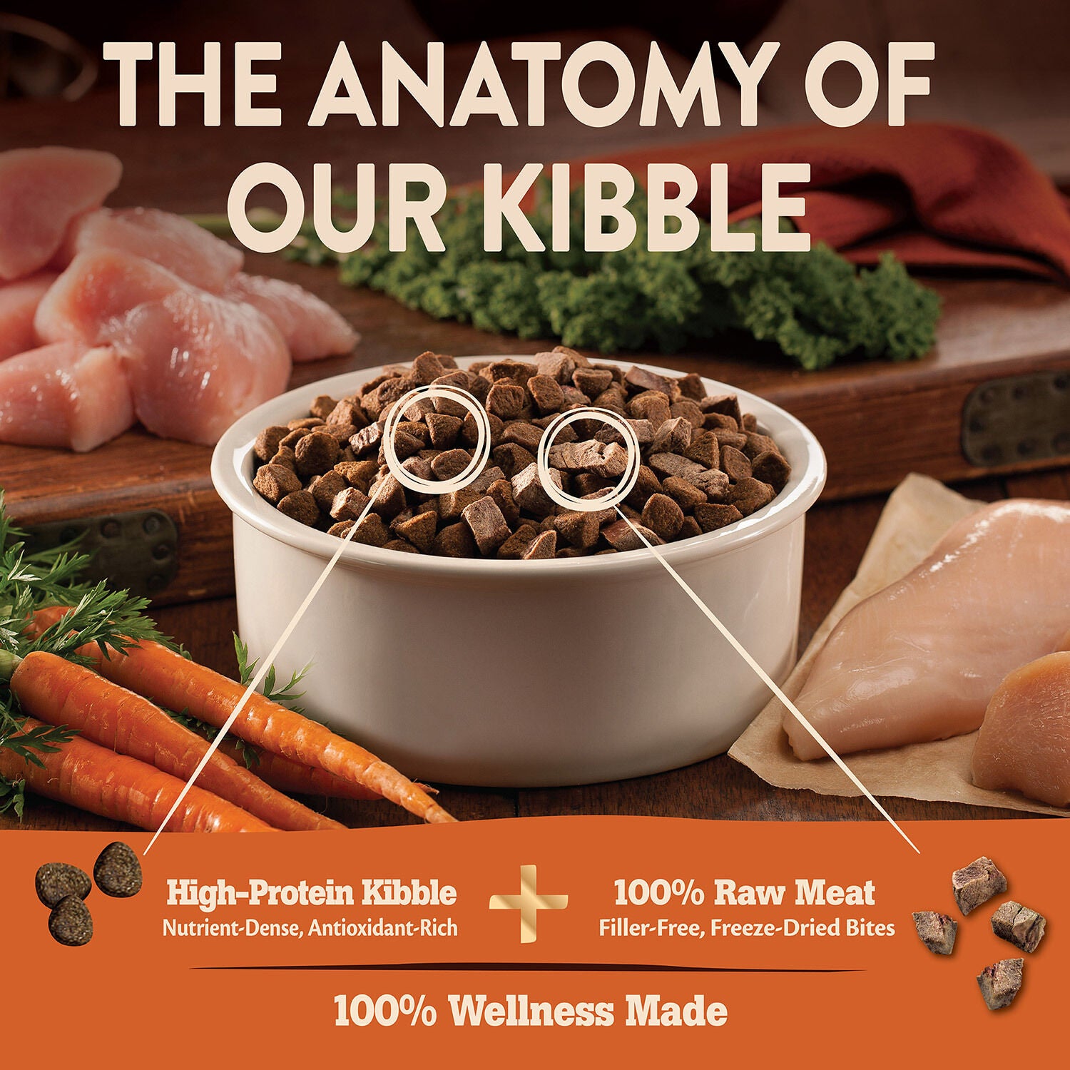 Core rev outlet dog food