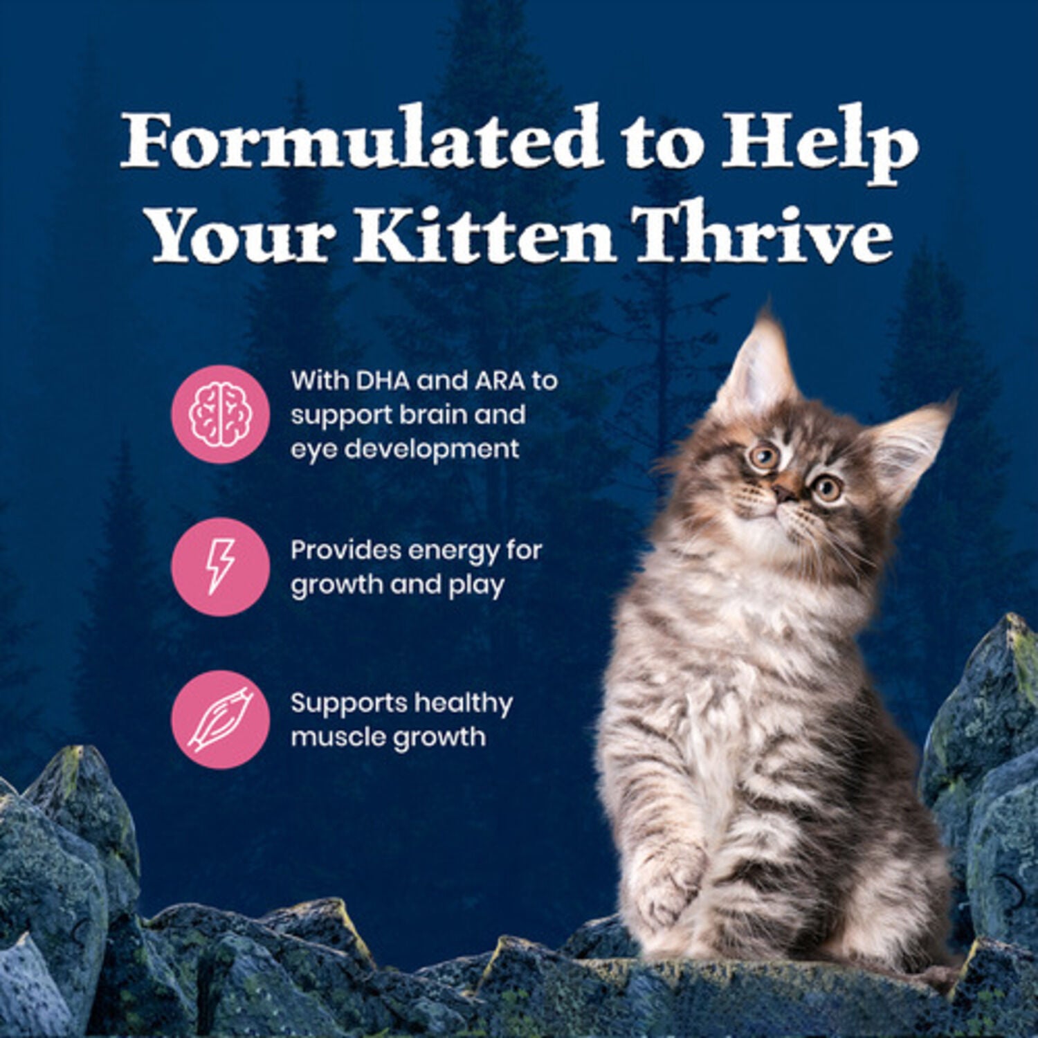 Blue Buffalo Wilderness Kitten High-Protein & Grain-Free Salmon Recipe Dry Cat Food, 5-Lb Bag