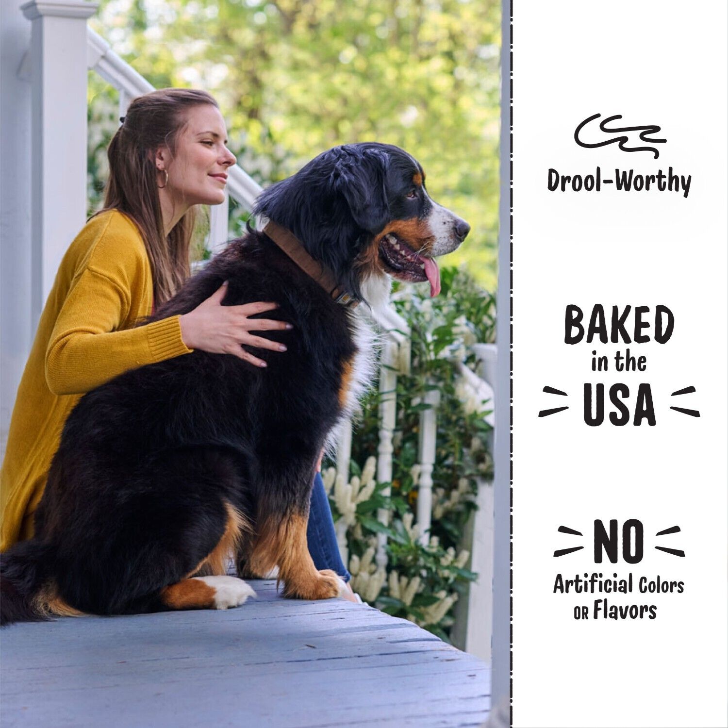 Three Dog Bakery Soft Baked Woofers Grain Free Peanut Butter & Banana Flavor Dog Treats, 13-Oz