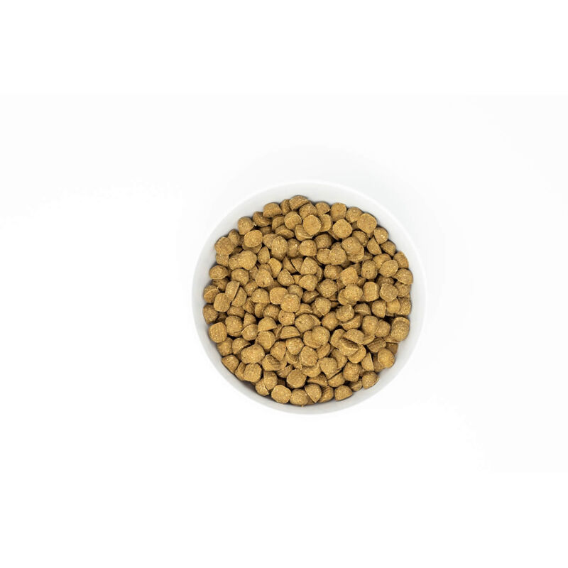 Stella & Chewy'S Raw Coated Baked Kibble Wild Caught Whitefish Recipe Dog Food