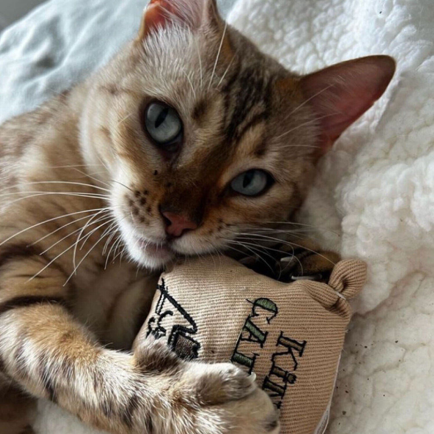 King Catnip Catnip Filled Sack Cat Toy