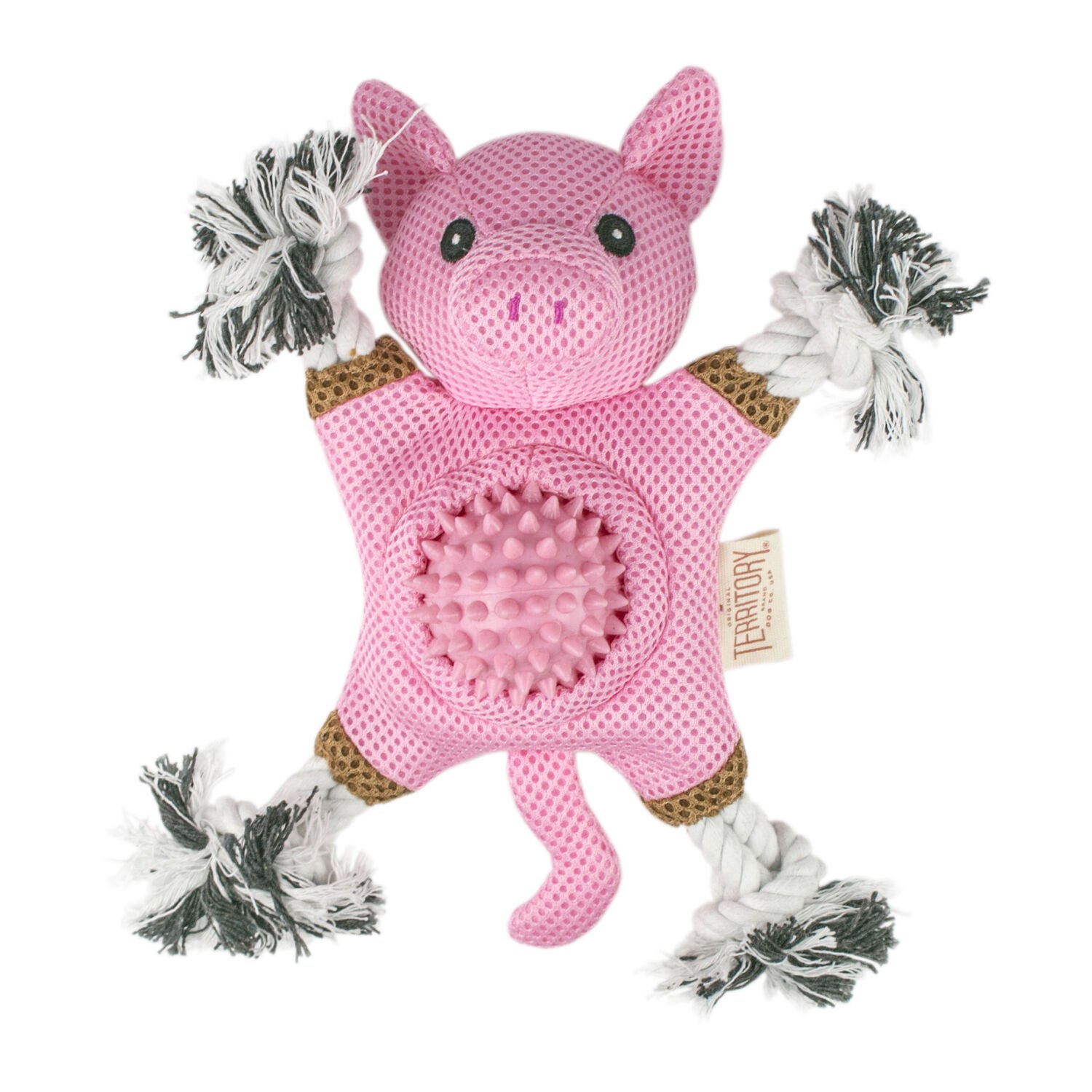 Territory Pig 2-In-1 Fetch & Tug Dog Toy, 10"