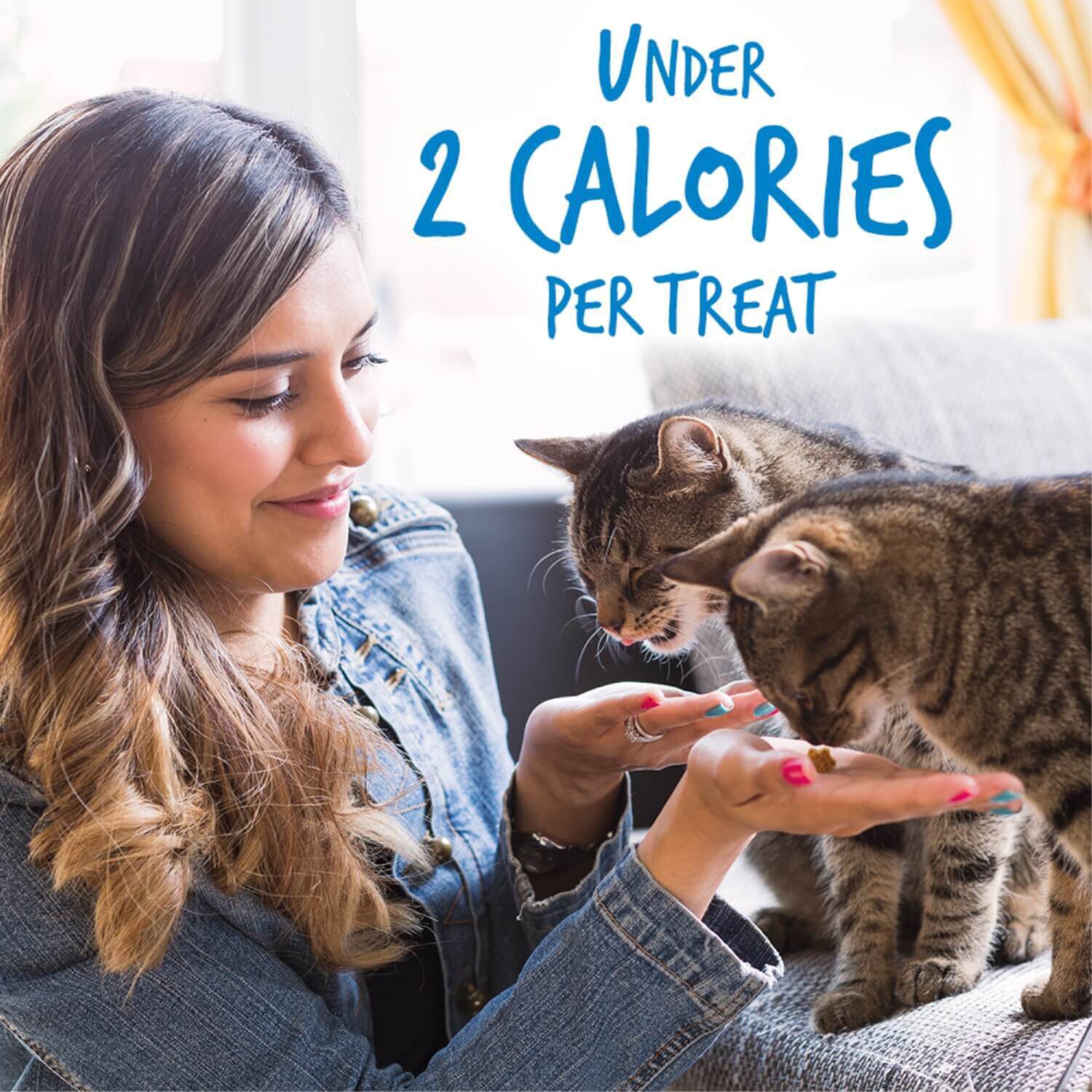 Fruitables Crunchy Chicken & Blueberry Cat Treats