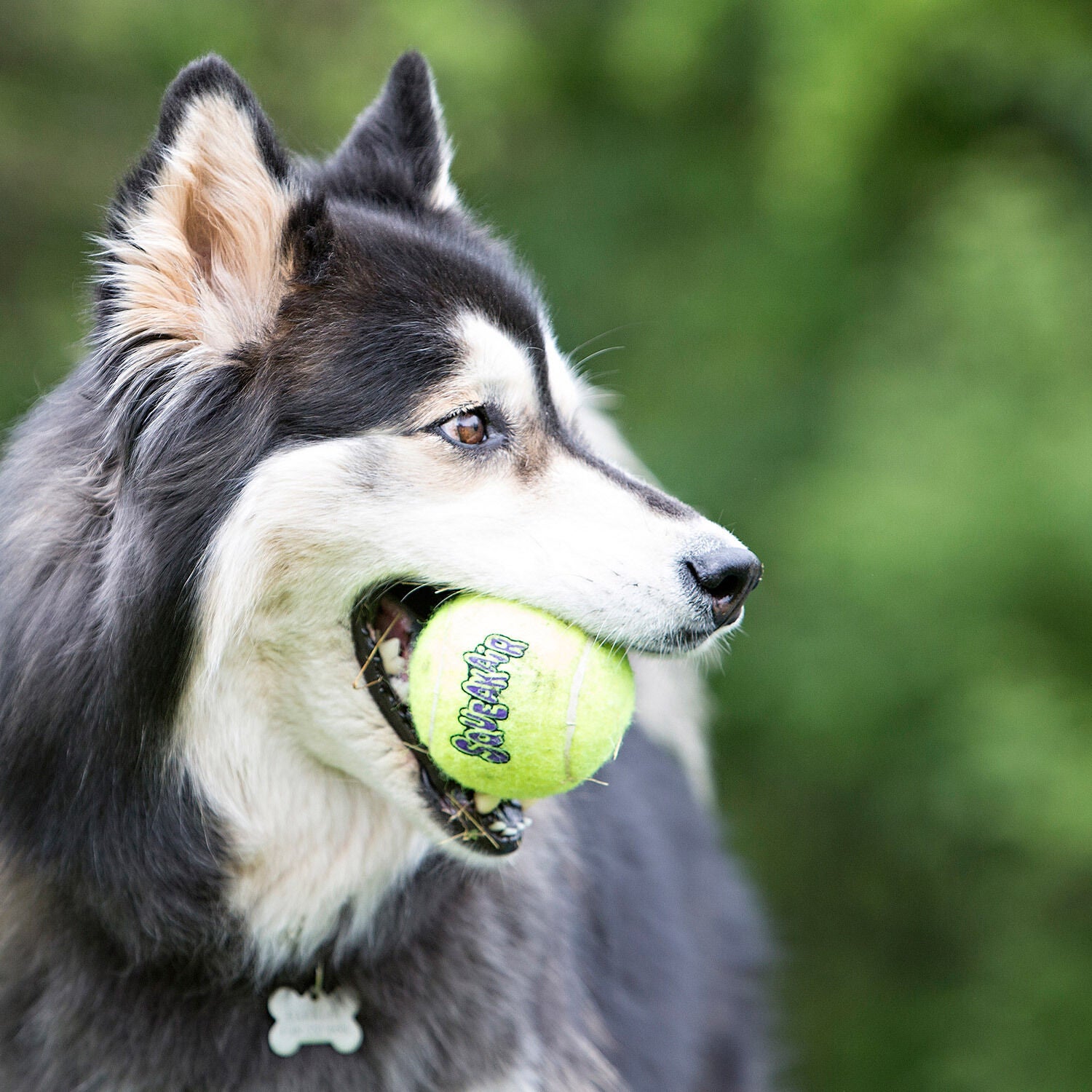 Kong Squeakair Nonabrasive Tennis Balls 3-Pk