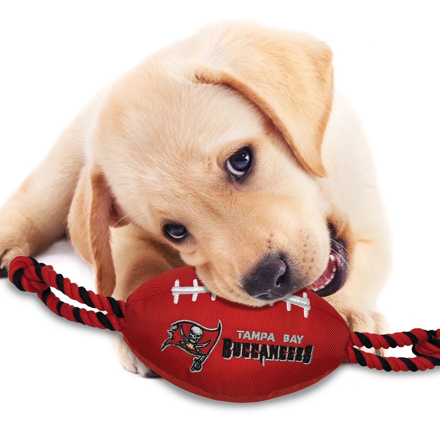 Pets First Tampa Bay Buccaneers Football Plush, Rope & Tug Dog Toy