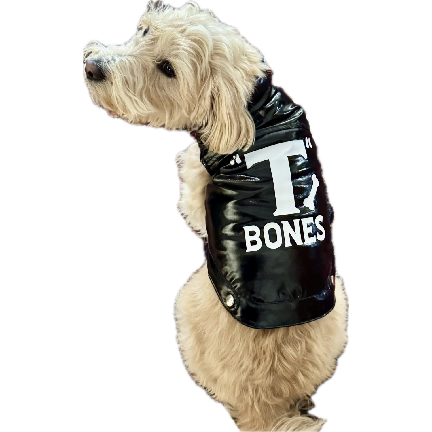 Aristopet "T Bones" Greaser Dog Jacket Halloween Costume, Black