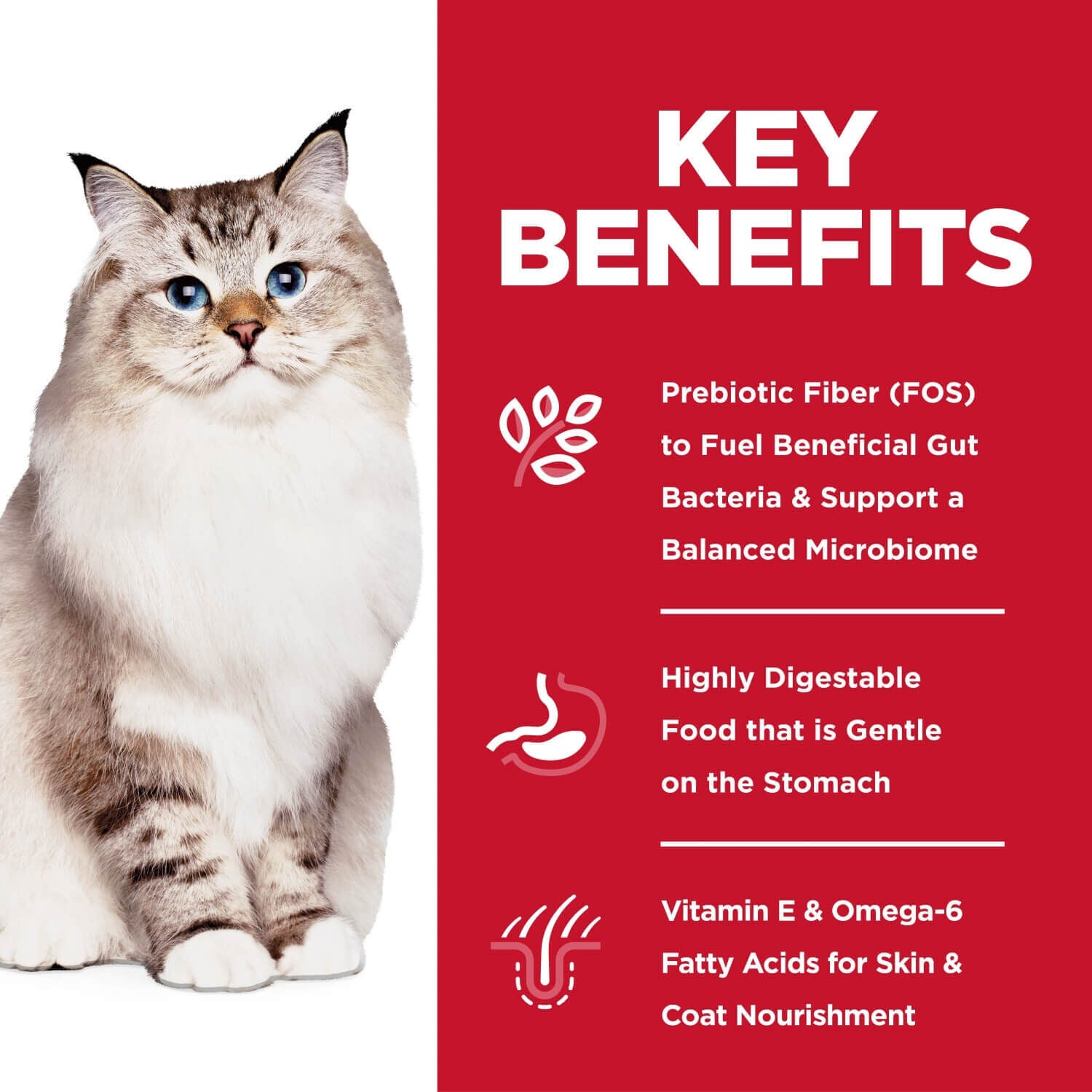 Hill's Science Diet Adult Sensitive Stomach & Skin Alaskan Pollock & Barley Recipe Dry Cat Food