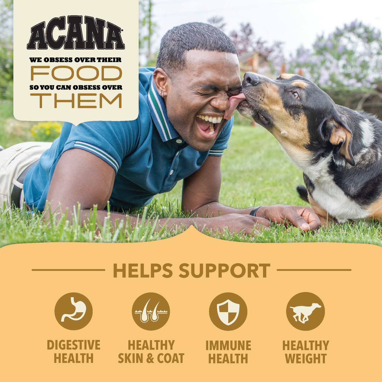 Acana Wholesome Grains Free-Run Poultry With Grains Dry Dog Food, 22.5-Lb Bag