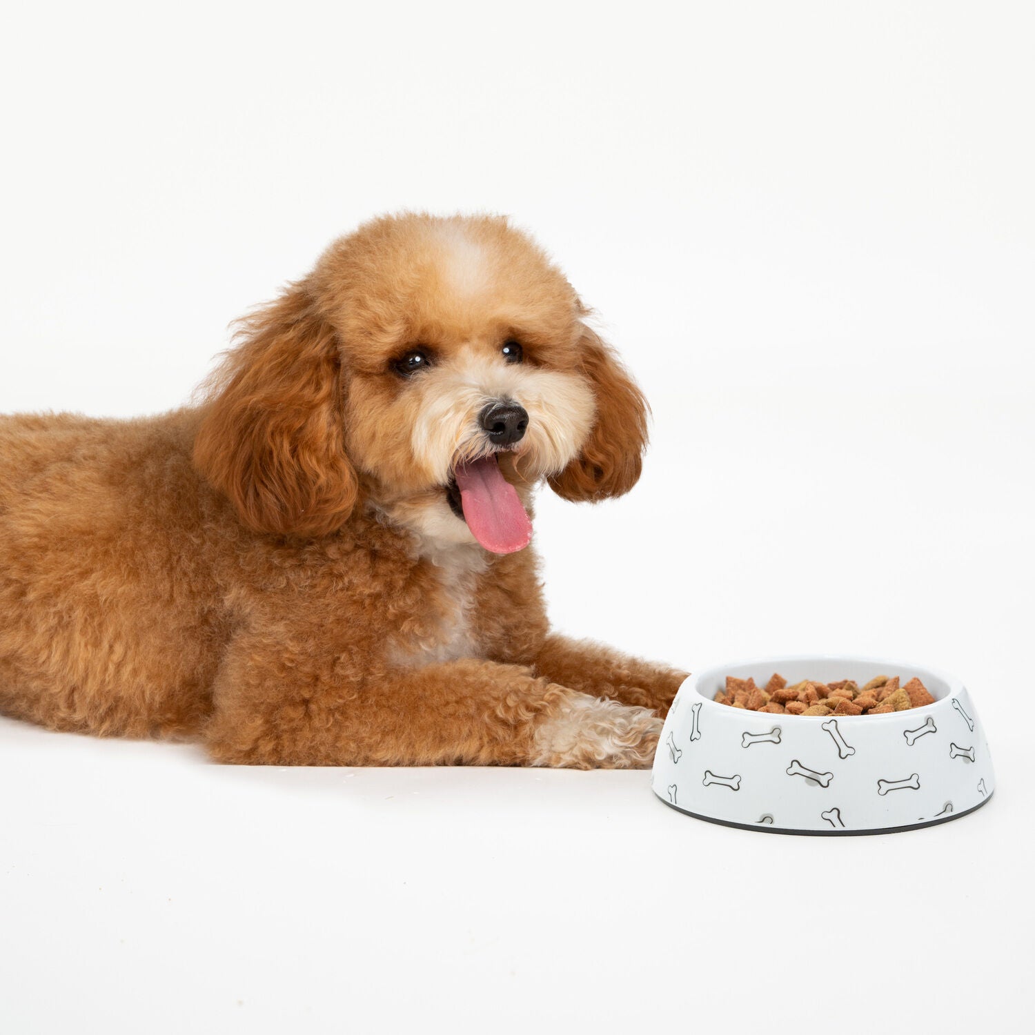 Simply Dog Bone Plastic Dog Bowl , 9.2"