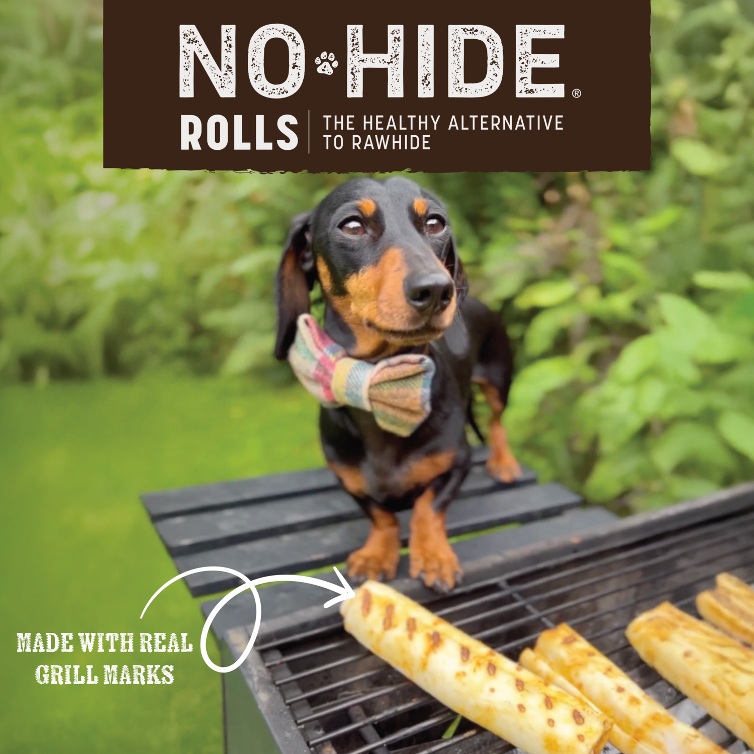 Earth Animal No-Hide Rawhide Alternative Stix Cat & Dog Treats, From The Grill Grilled Cheese Flavor, 20 Pack