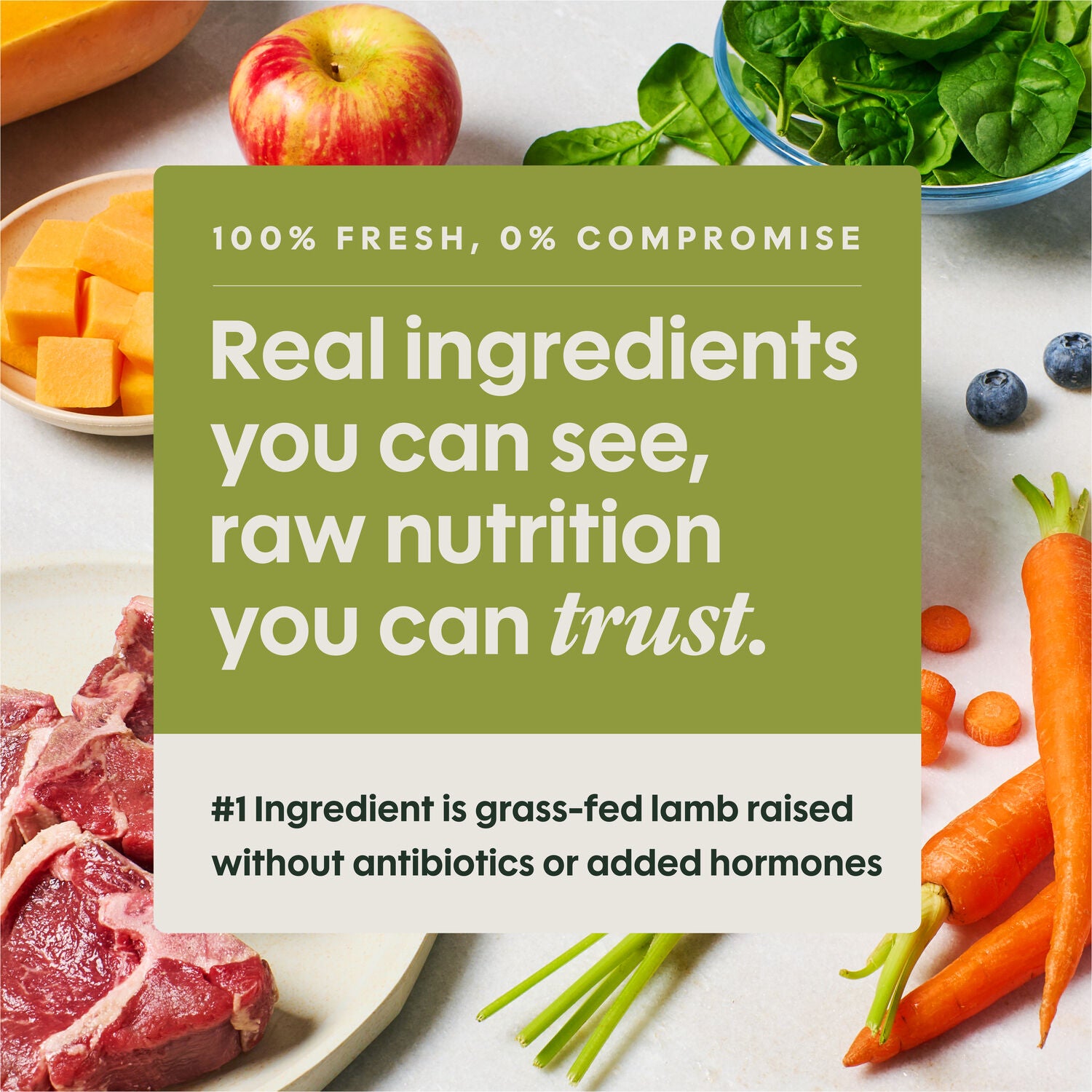 Instinct Freshraw Meals Grass-Fed Lamb Recipe Frozen Dog Food, 8-Oz Pack