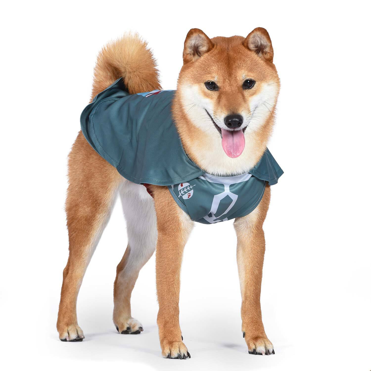 Boba fett dog costume top