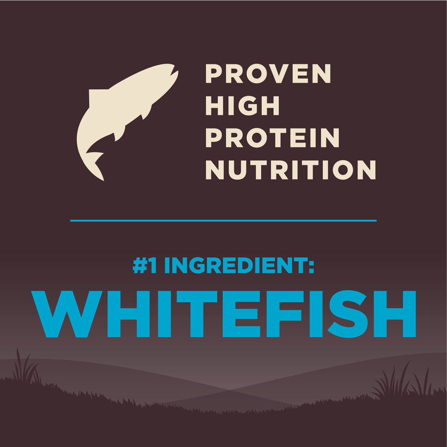 Wellness Core Natural Grain-Free Dry Dog Food, Ocean Whitefish, Herring & Salmon Recipe, 22-Lb