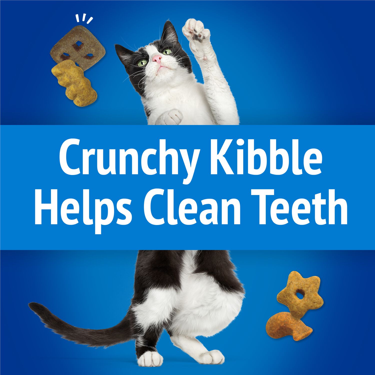 Purina Friskies Party Mix Beachside Crunch With Real Whitefish Crunchy Cat Treats, 30-Oz