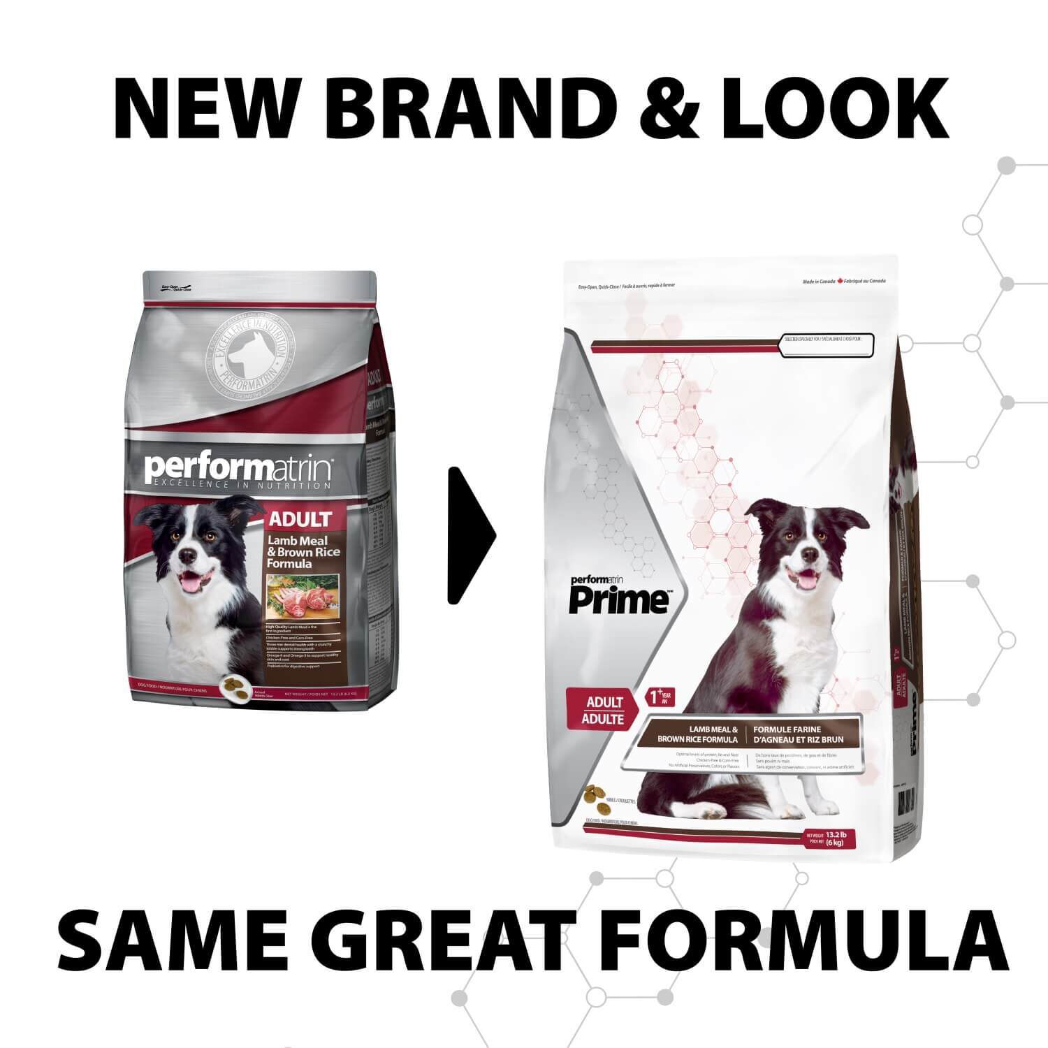 Performatrin Prime Adult Lamb Meal Brown Rice Formula Dry Dog Food