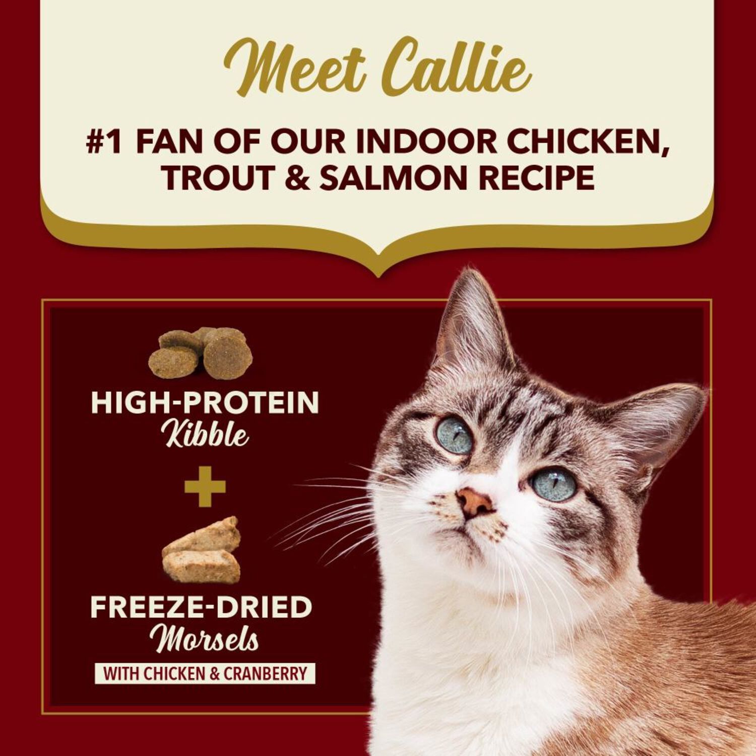 Acana Market Medley Indoor Cat Dry Cat Food, Chicken, Trout & Salmon Recipe, High-Protein Kibble + Freeze-Dried Morsels, 3.5-Lb Bag