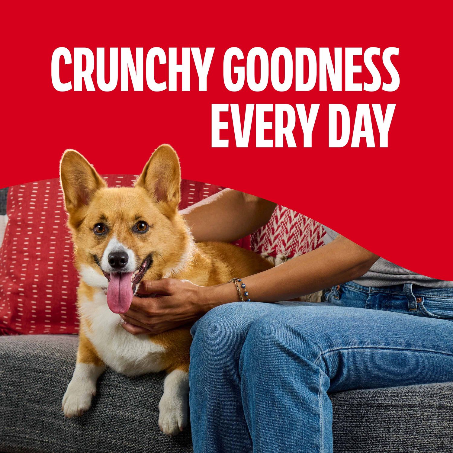 Milk-Bone Flavor Snacks&nbsp;Crunchy Small Dog Biscuits, 7-Lb Box